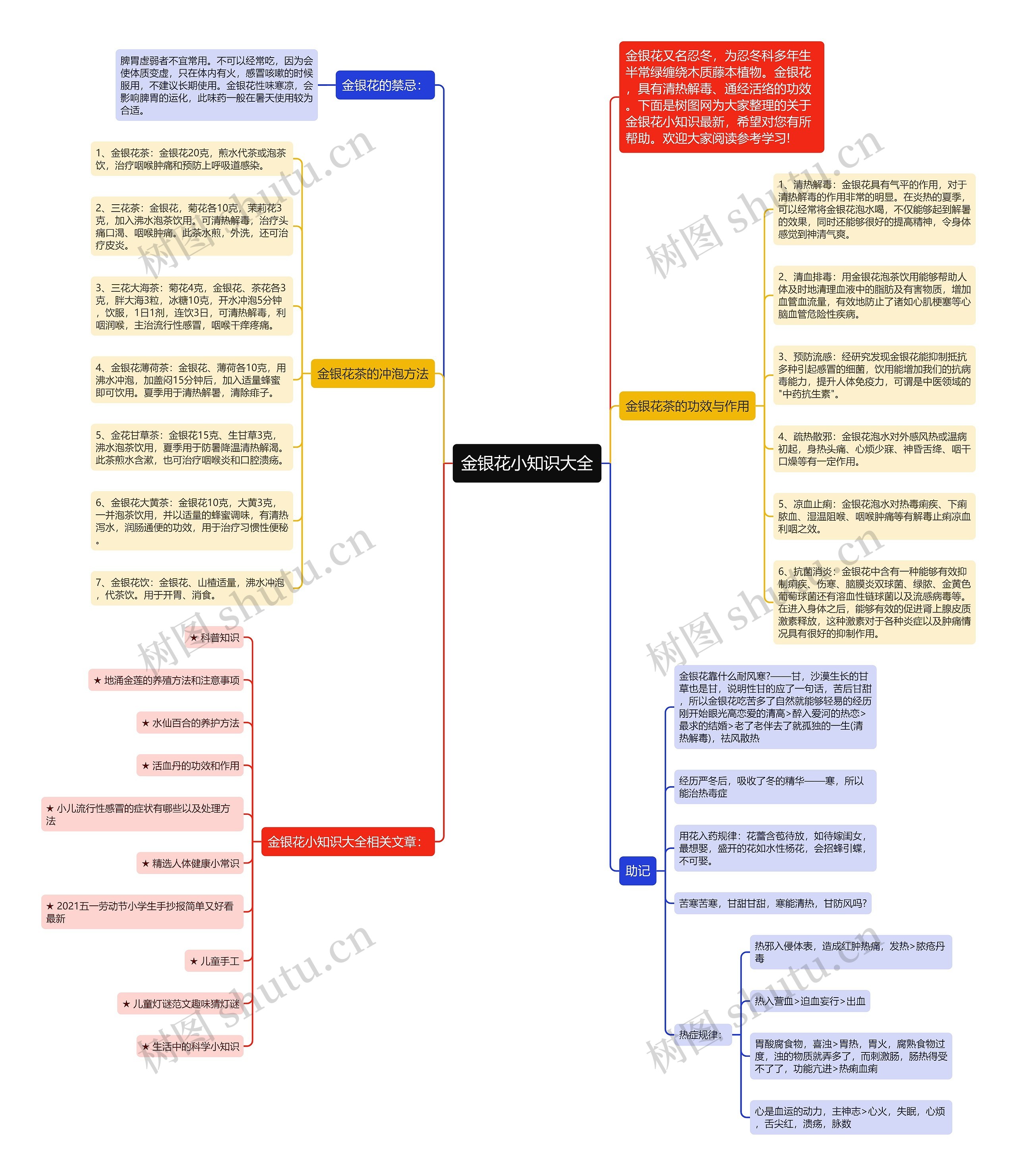金银花小知识大全思维导图