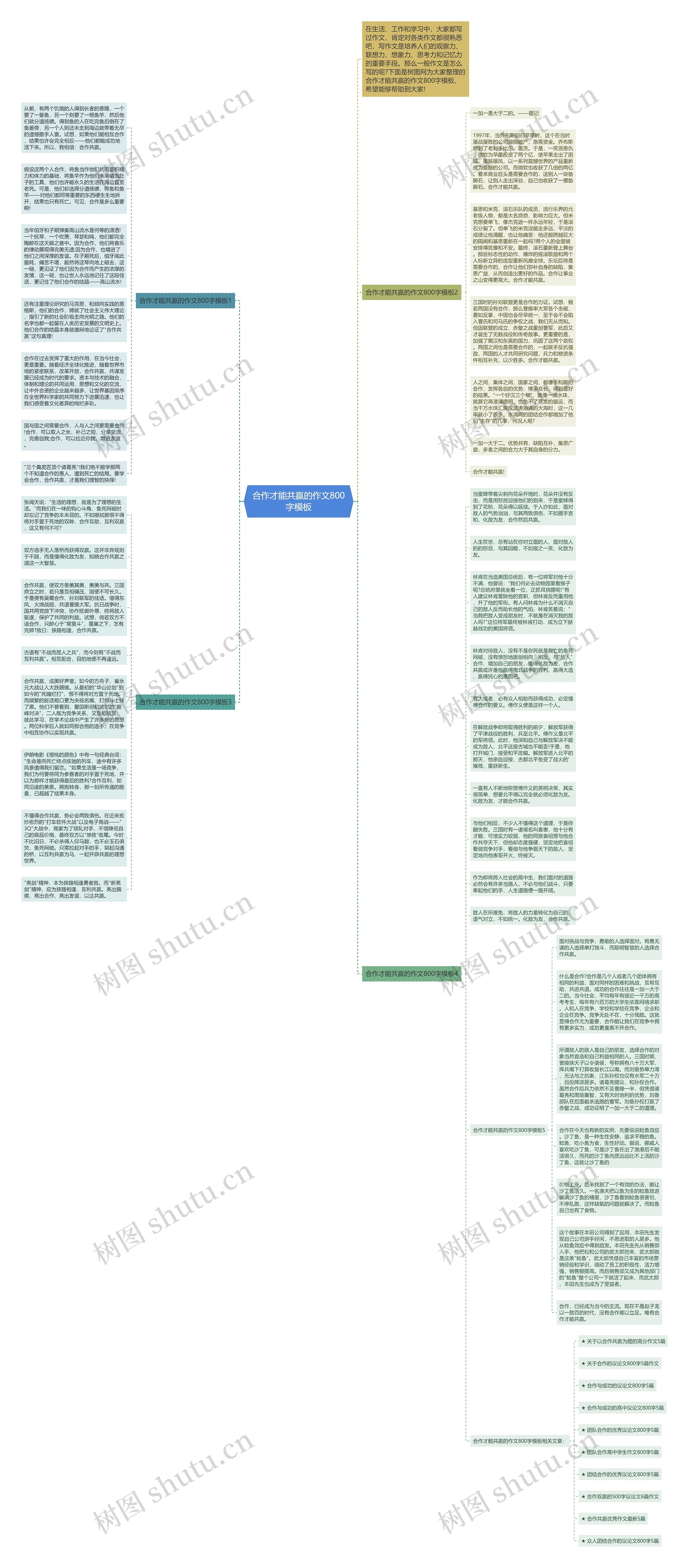 合作才能共赢的作文800字思维导图