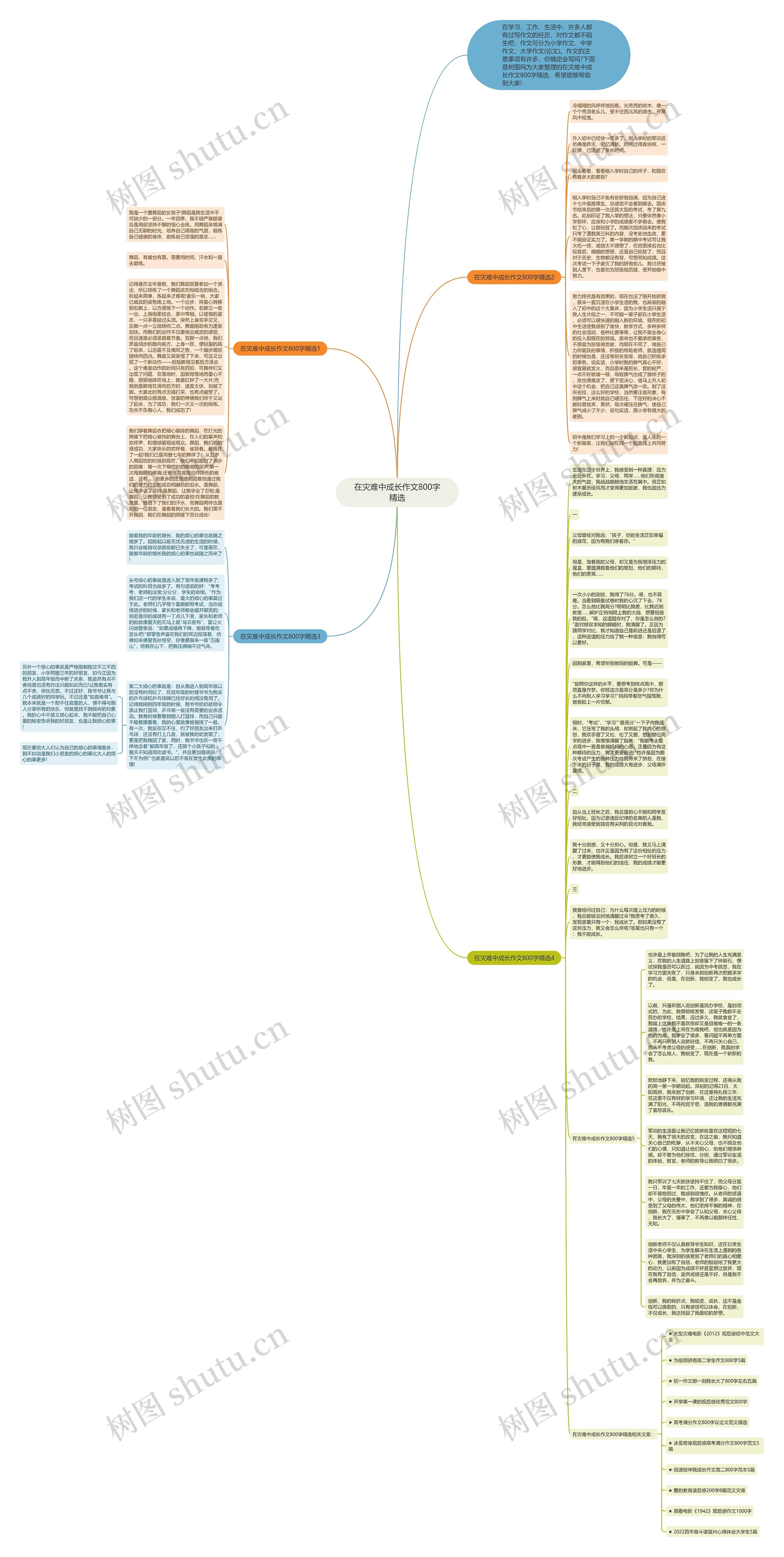 在灾难中成长作文800字精选思维导图