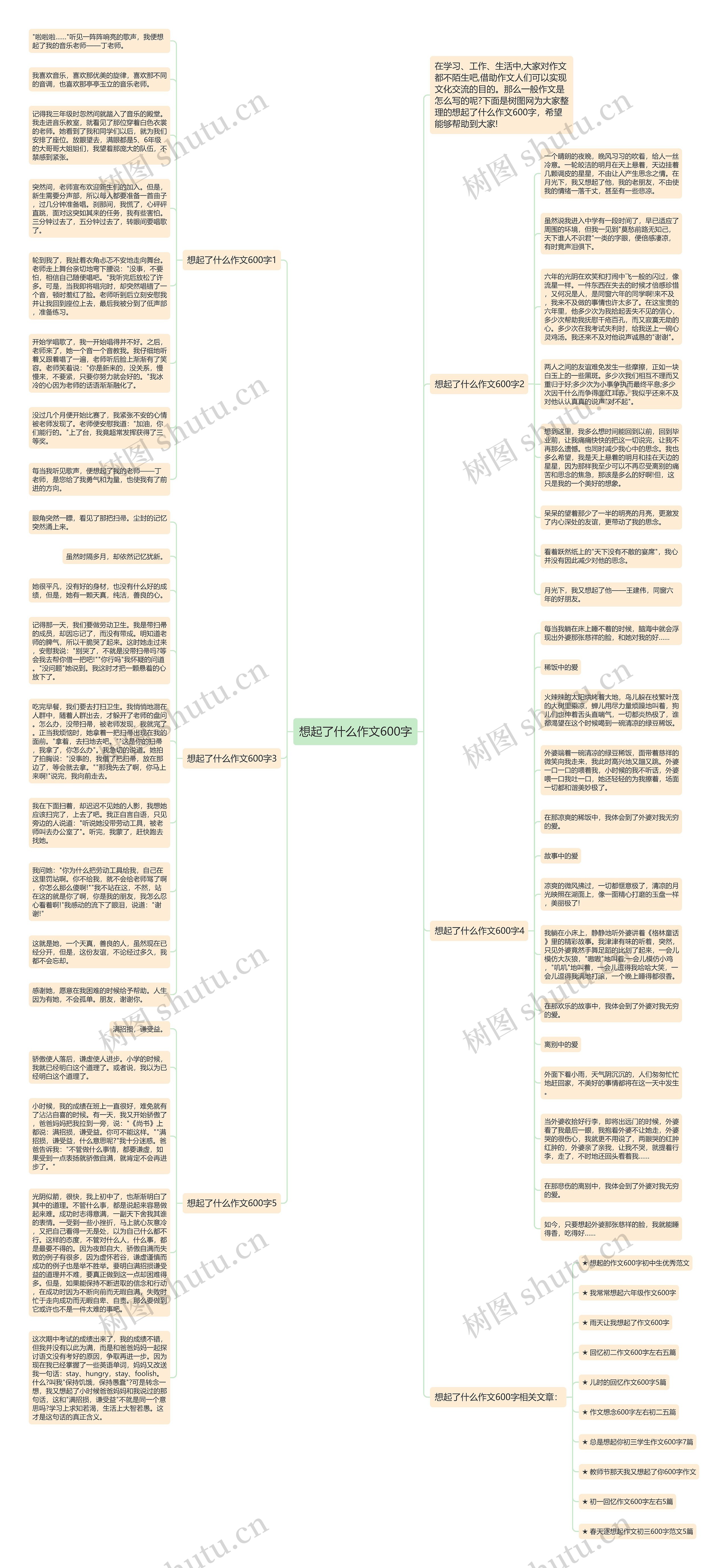 想起了什么作文600字思维导图