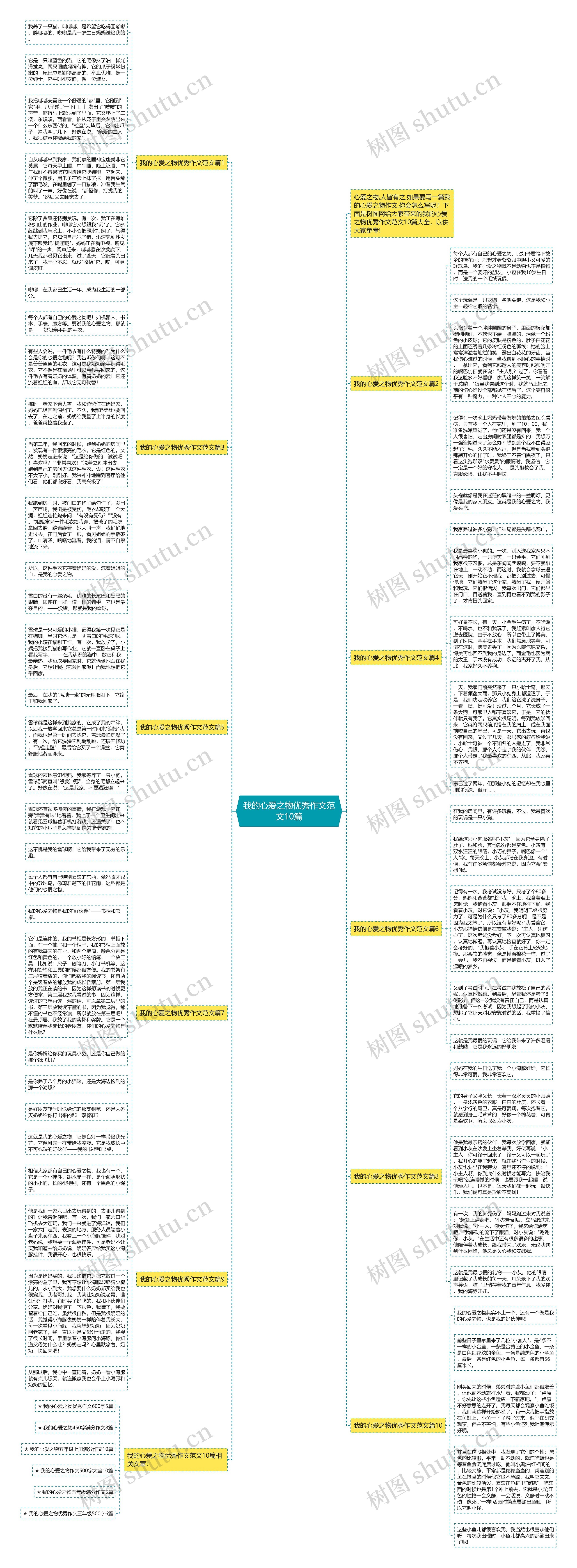 我的心爱之物优秀作文范文10篇思维导图