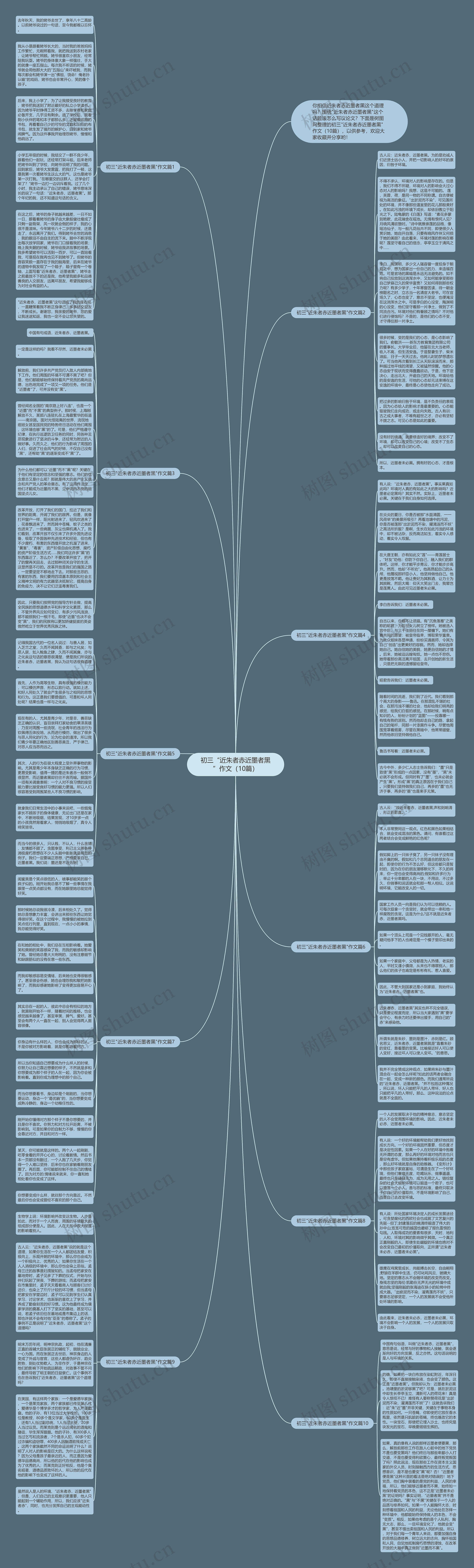 初三“近朱者赤近墨者黑”作文（10篇）思维导图