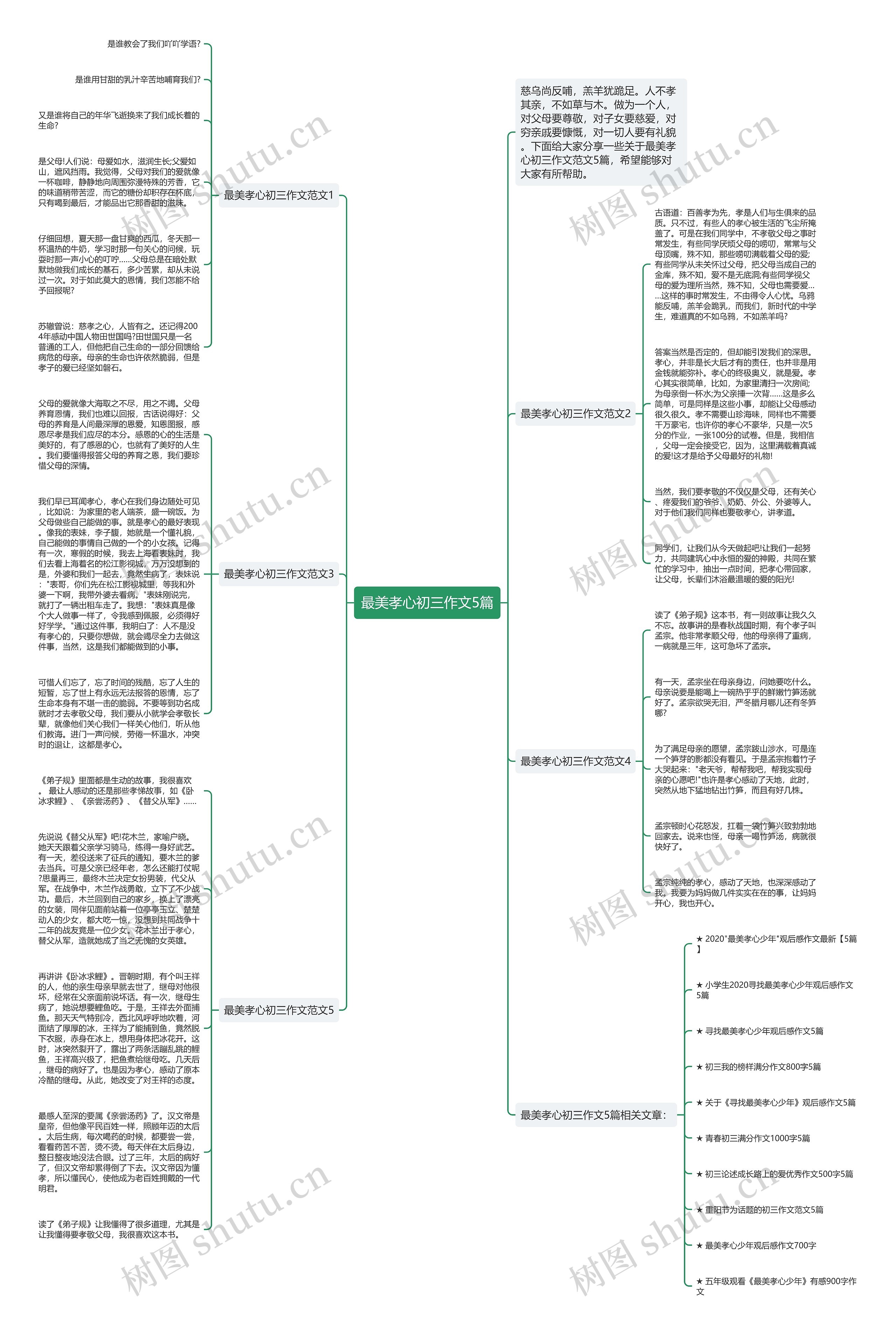 最美孝心初三作文5篇思维导图