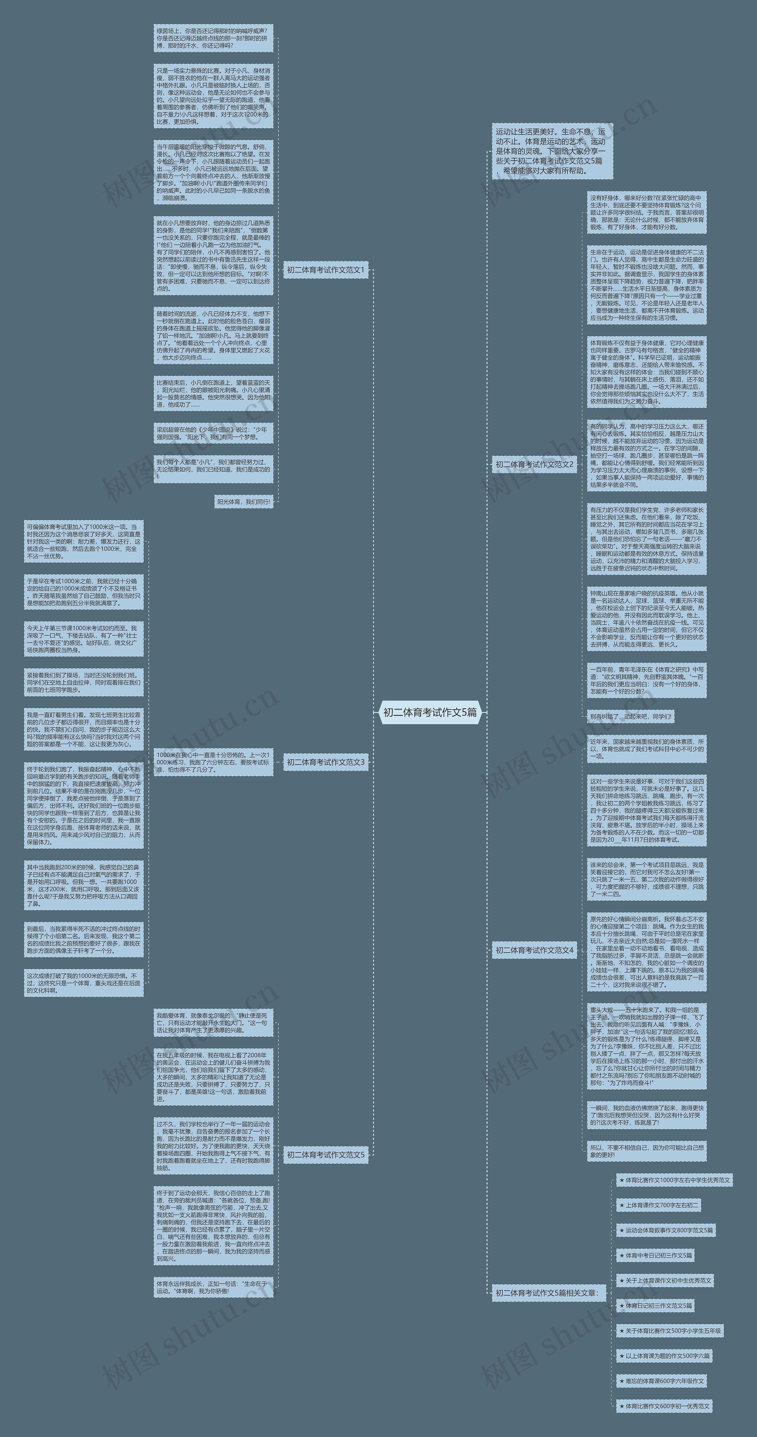 初二体育考试作文5篇思维导图