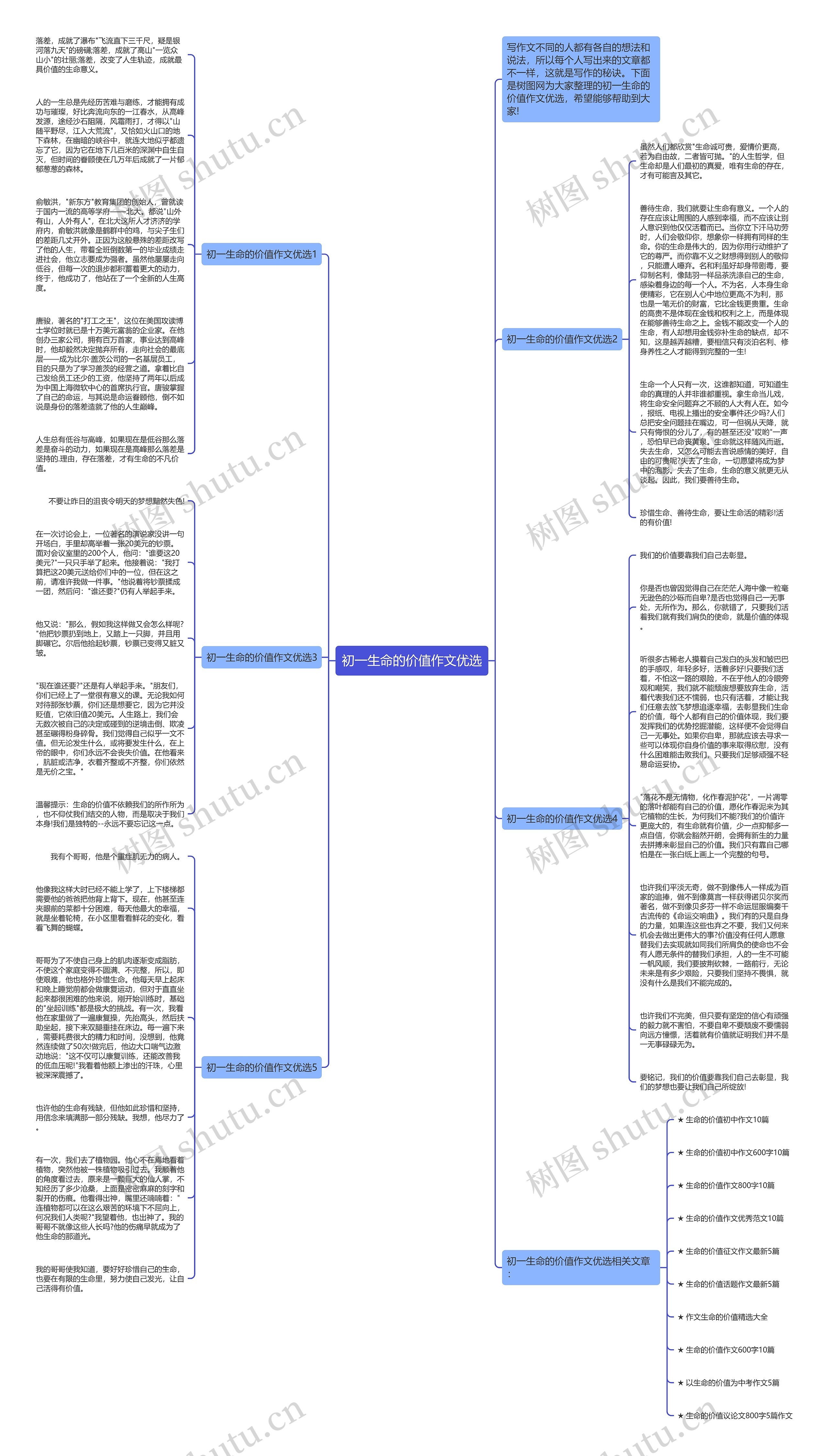 初一生命的价值作文优选思维导图