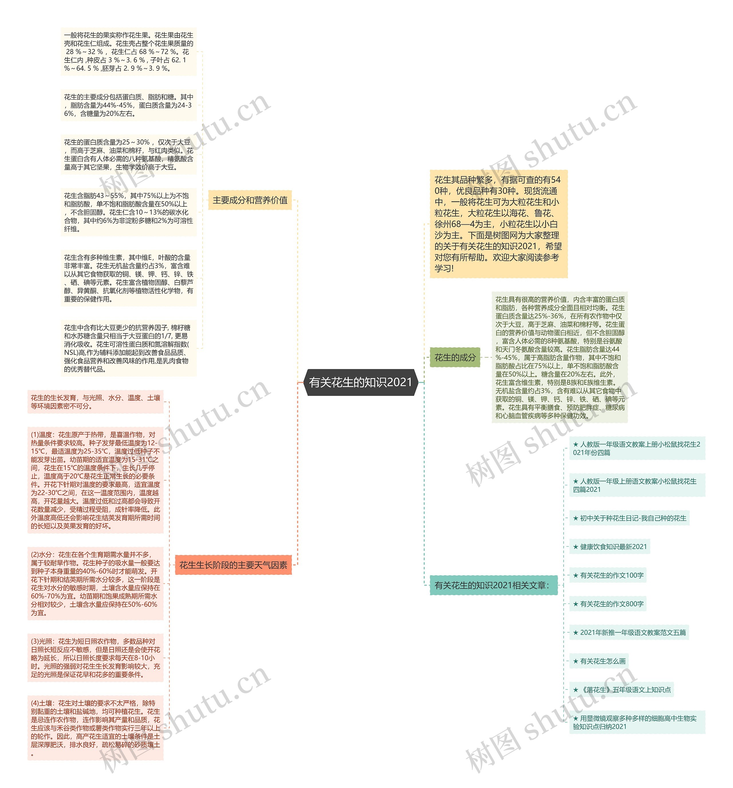 有关花生的知识2021思维导图