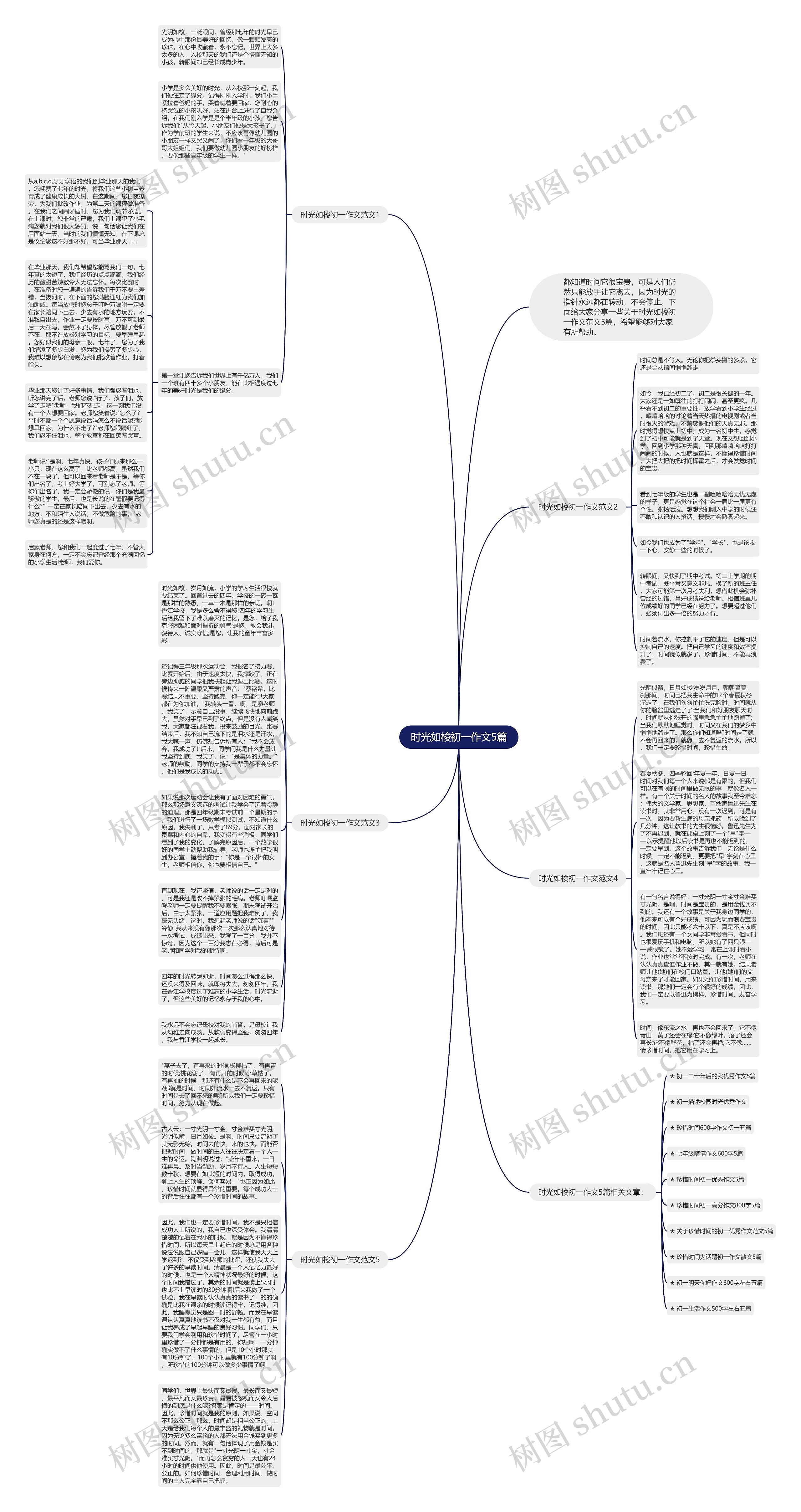 时光如梭初一作文5篇思维导图
