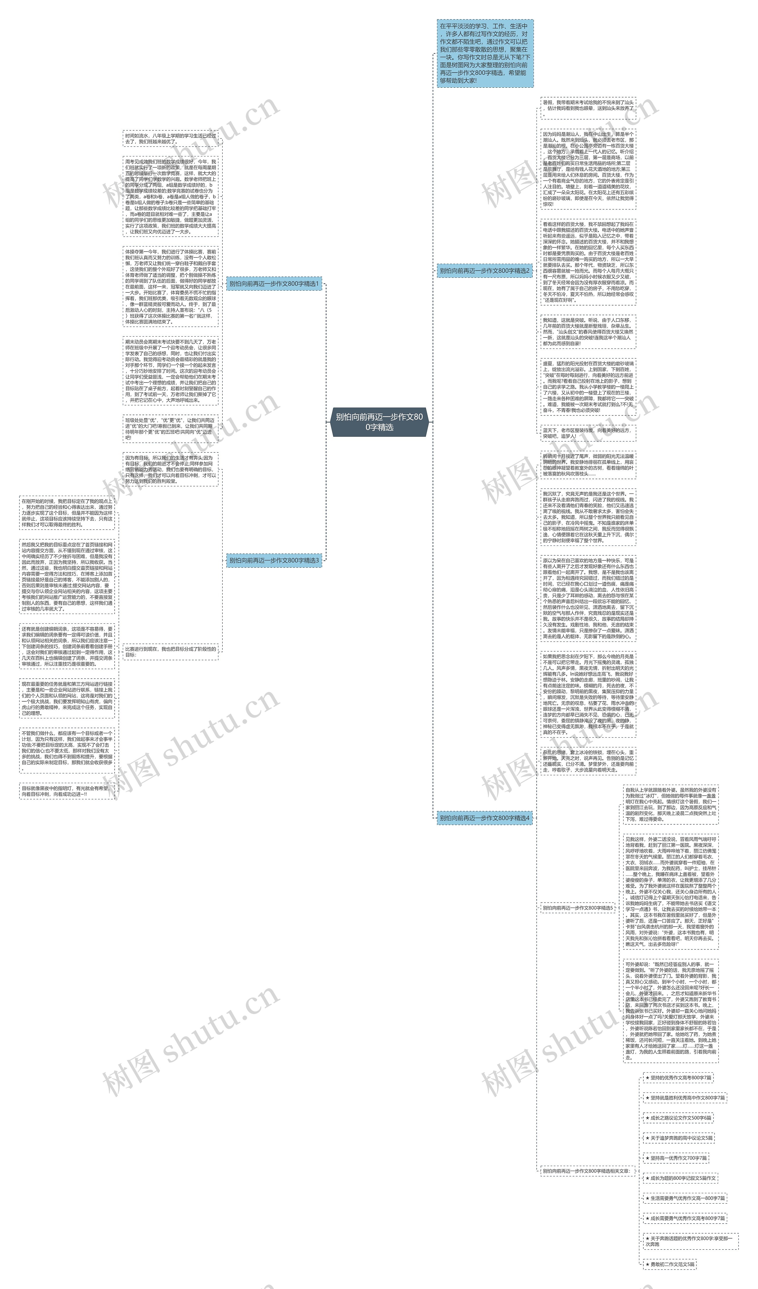 别怕向前再迈一步作文800字精选思维导图