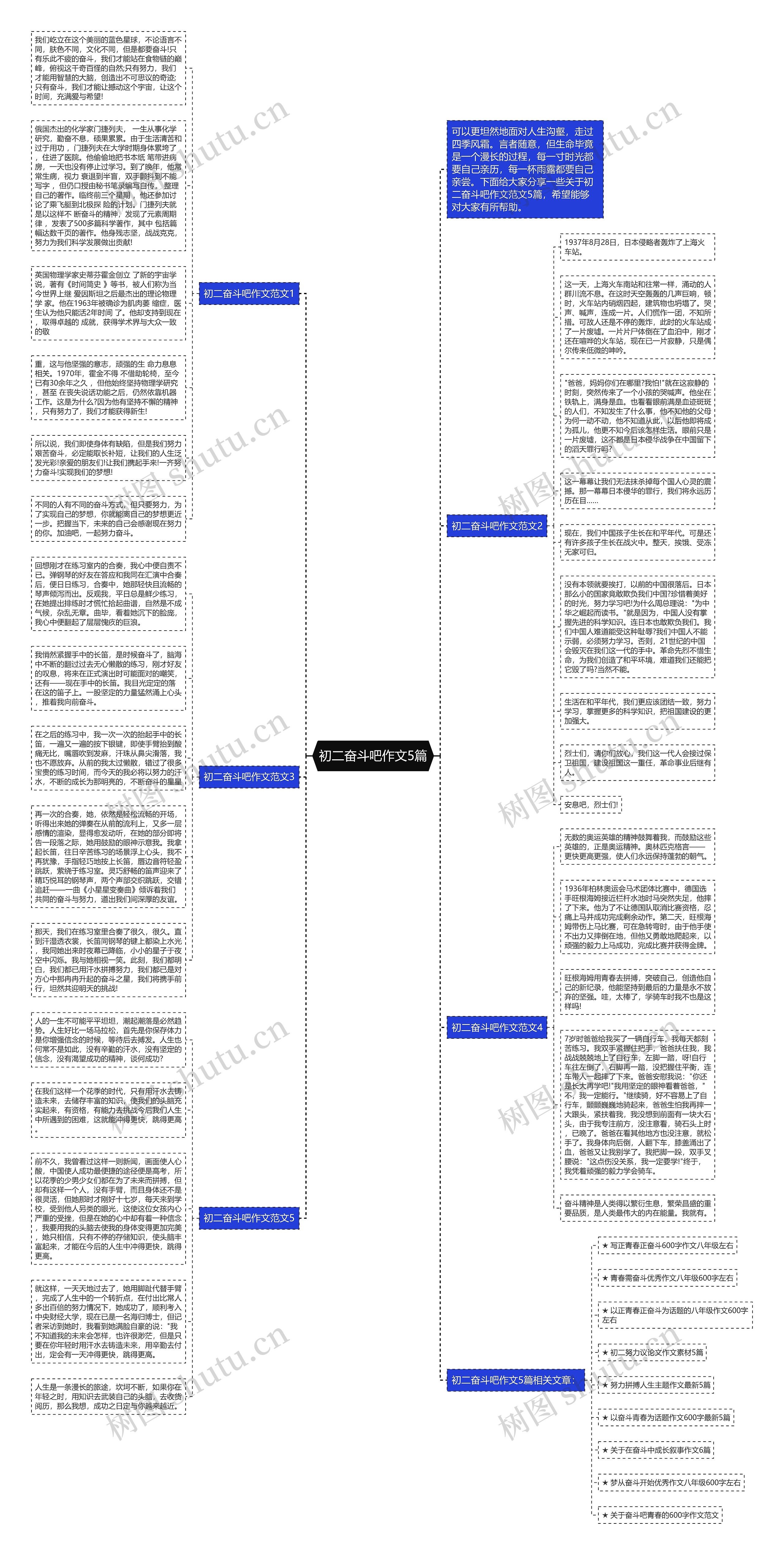 初二奋斗吧作文5篇思维导图