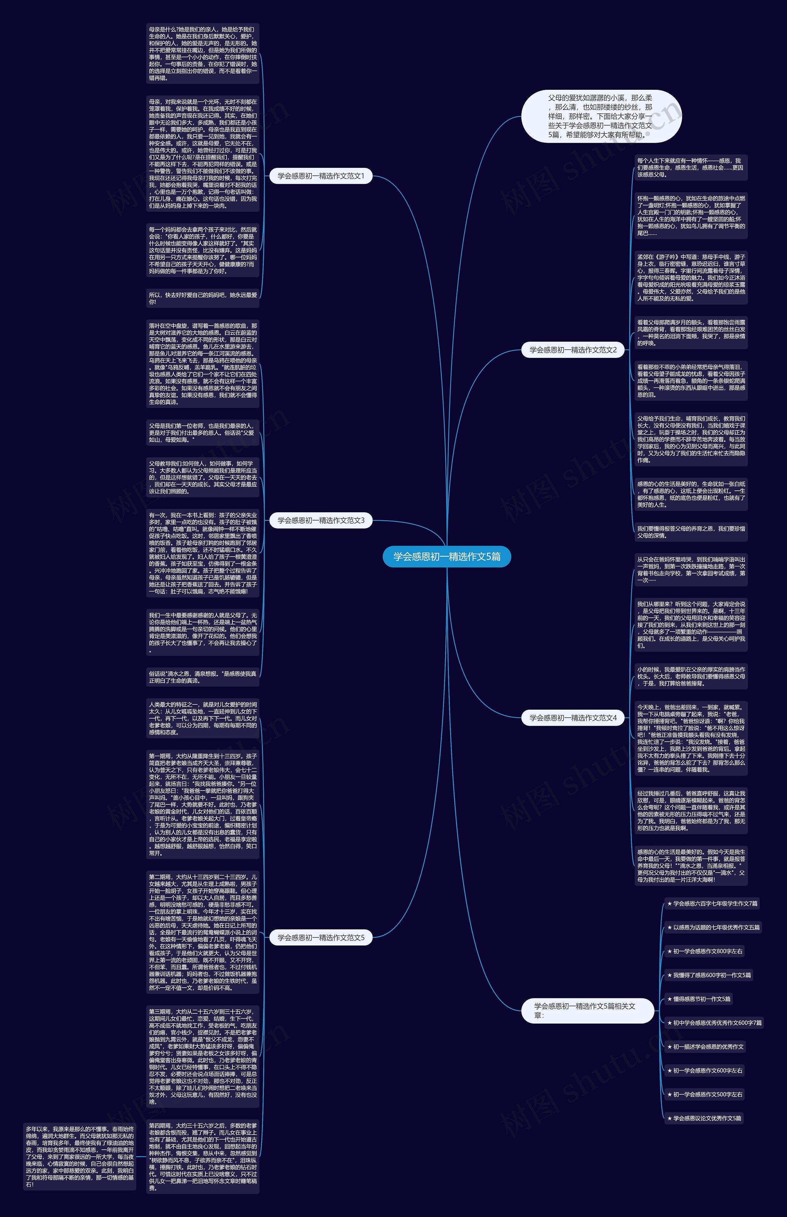学会感恩初一精选作文5篇思维导图