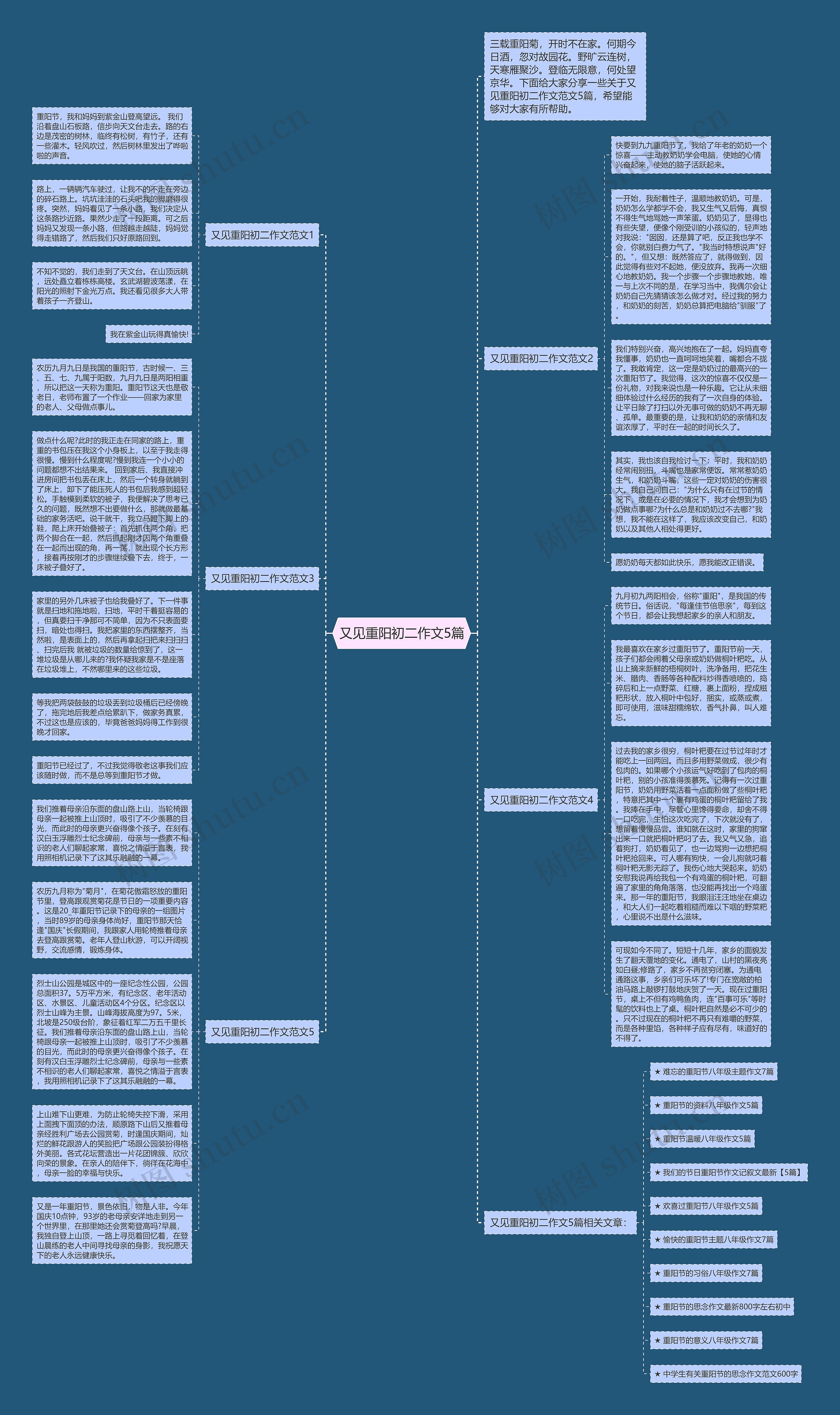 又见重阳初二作文5篇思维导图