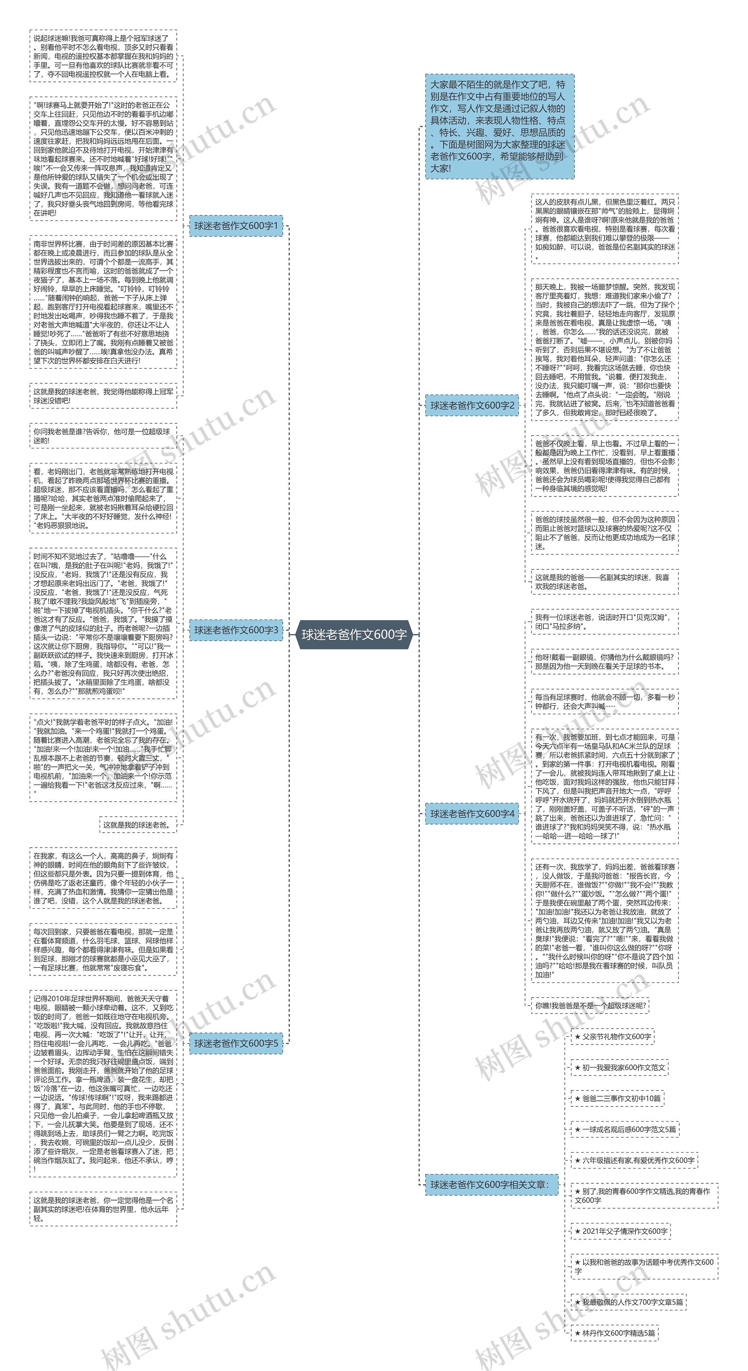 球迷老爸作文600字思维导图