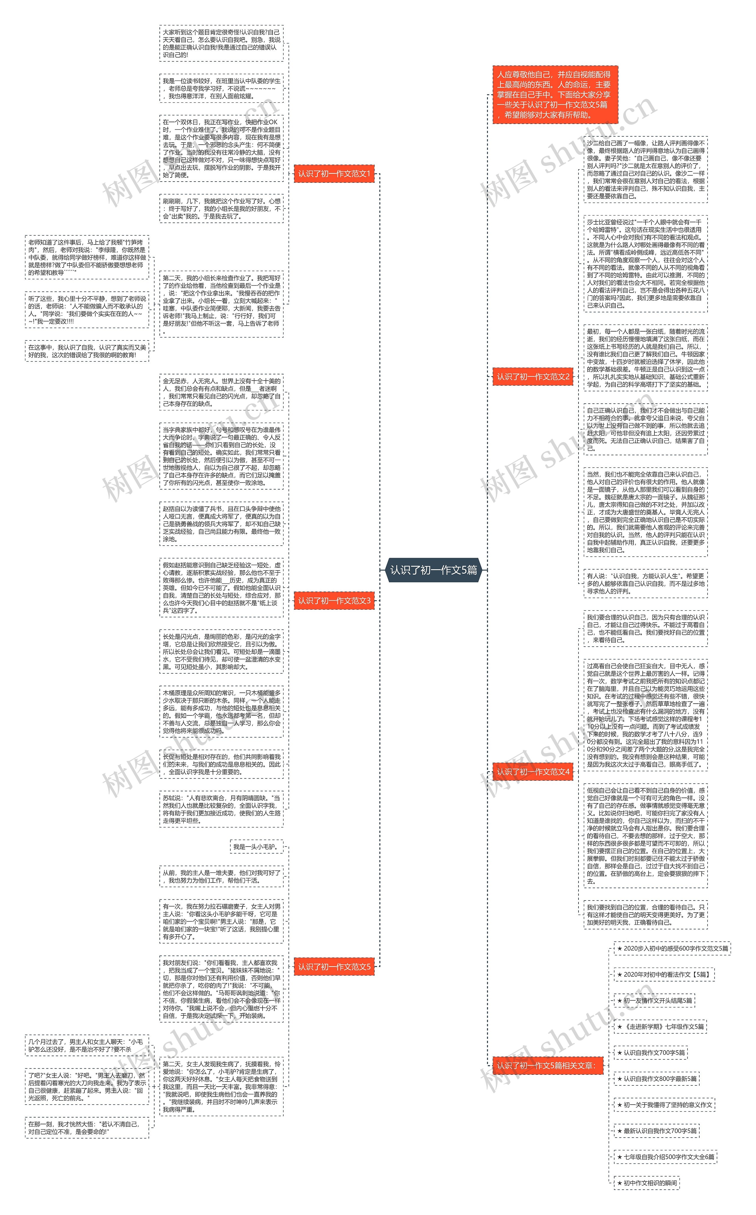 认识了初一作文5篇思维导图