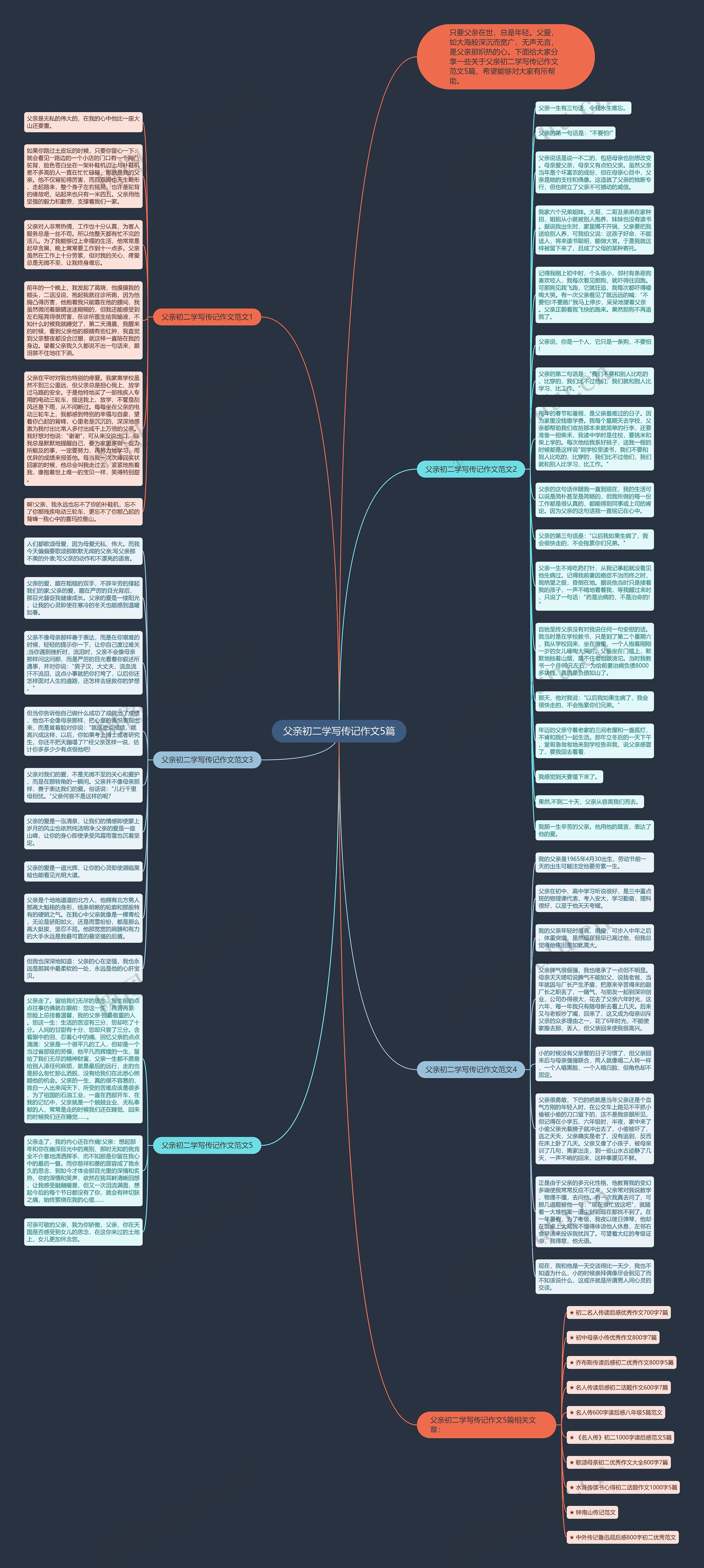 父亲初二学写传记作文5篇思维导图