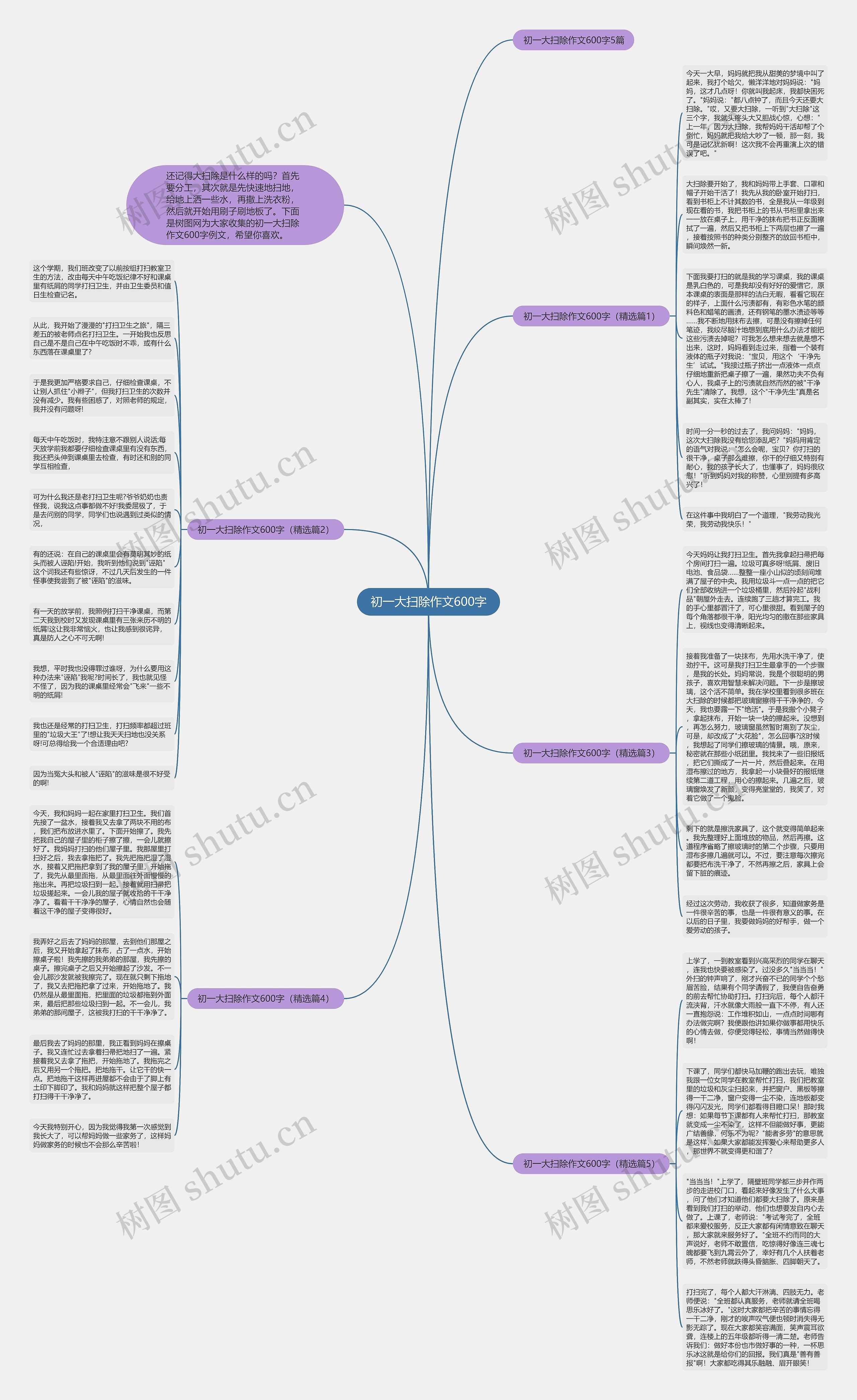 初一大扫除作文600字思维导图