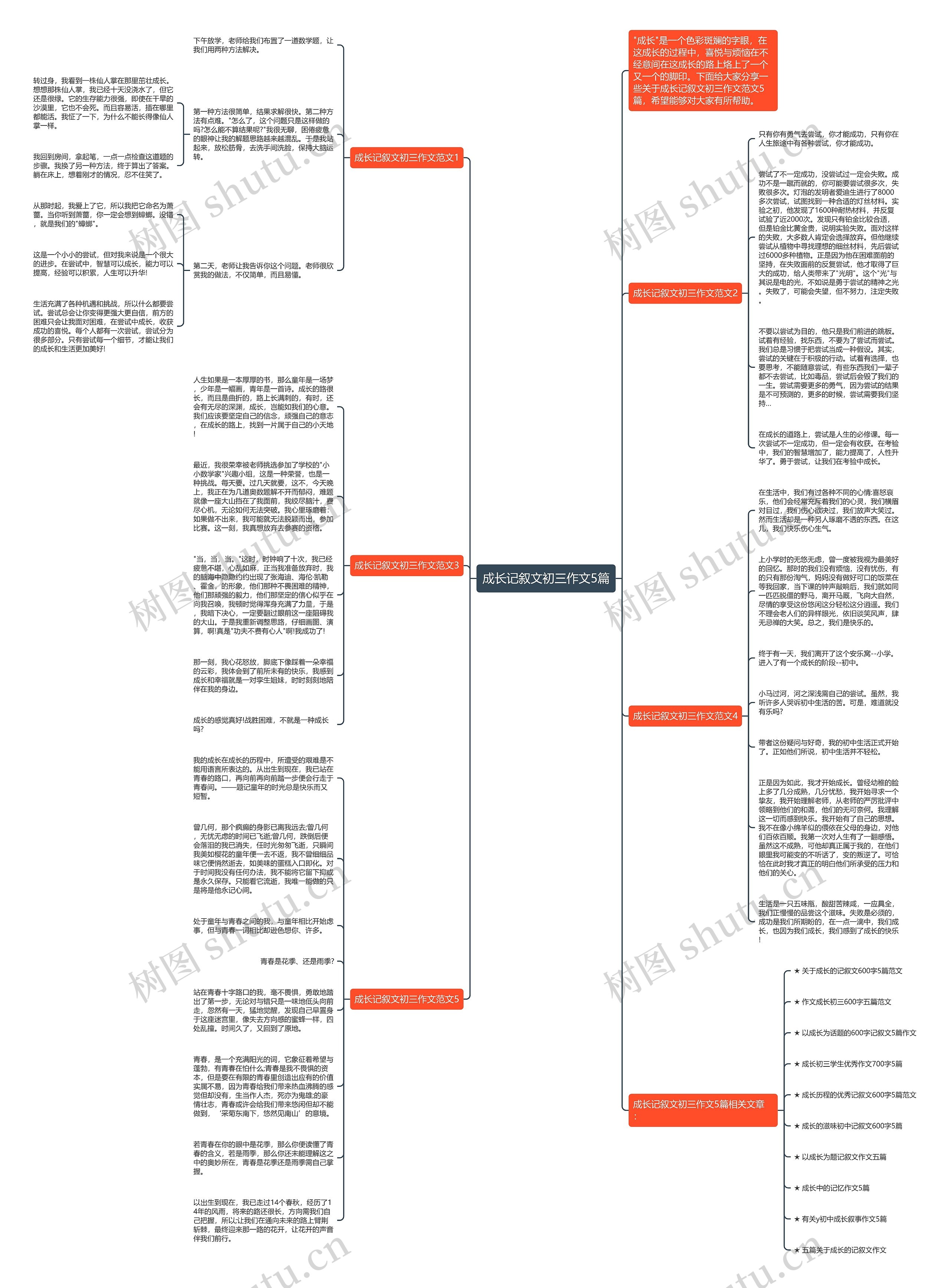 成长记叙文初三作文5篇思维导图