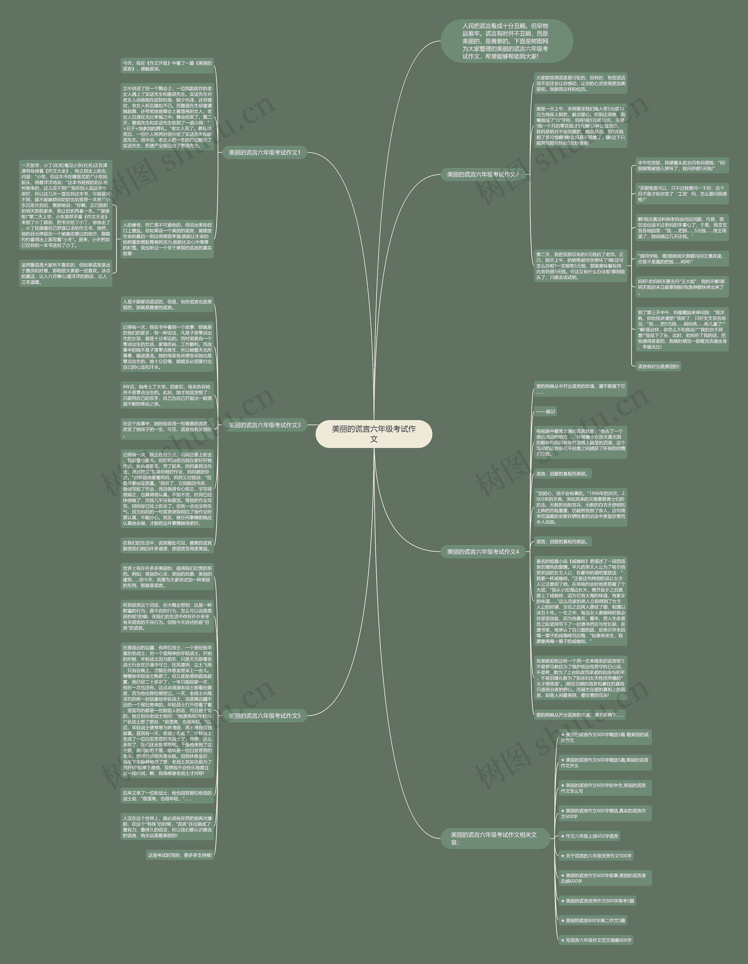 美丽的谎言六年级考试作文思维导图