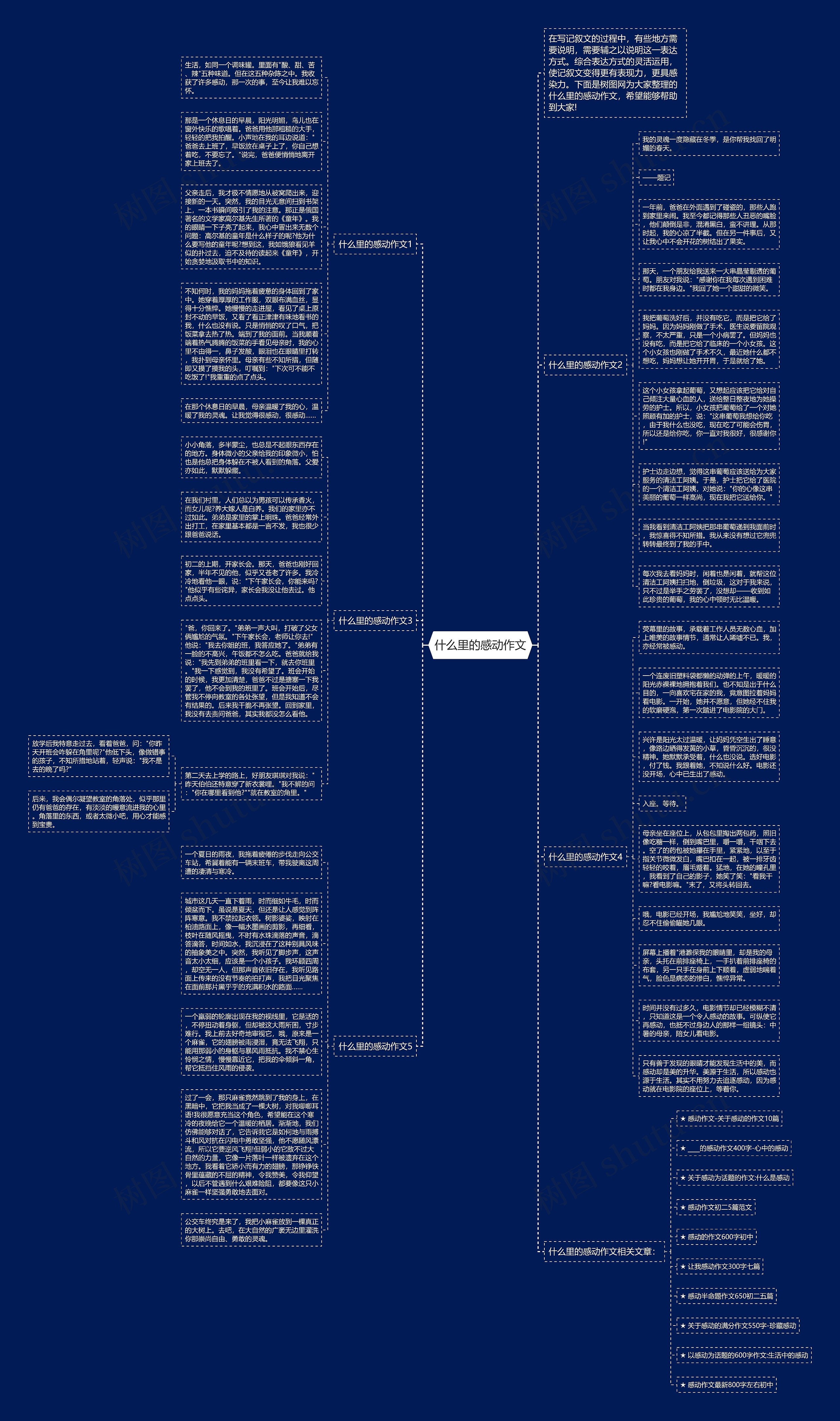 什么里的感动作文思维导图