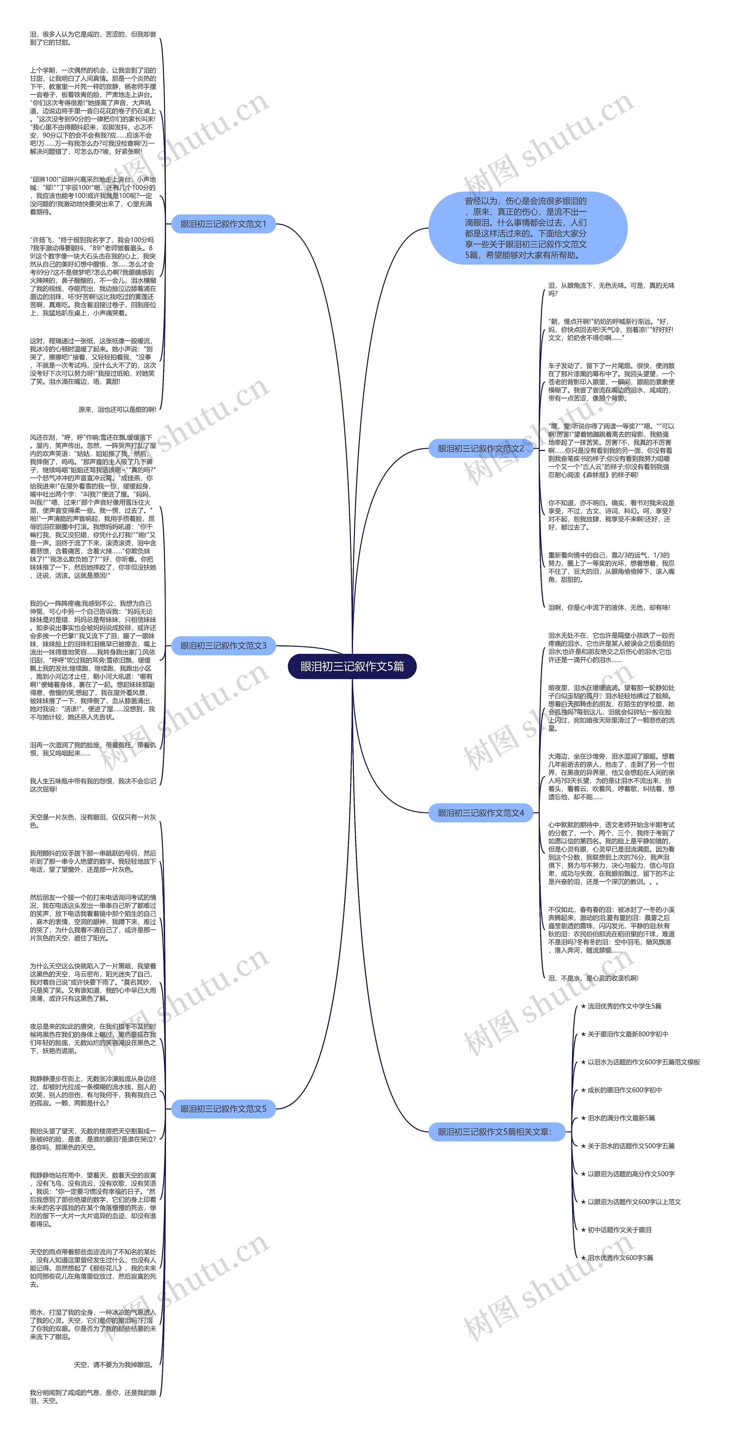 眼泪初三记叙作文5篇思维导图