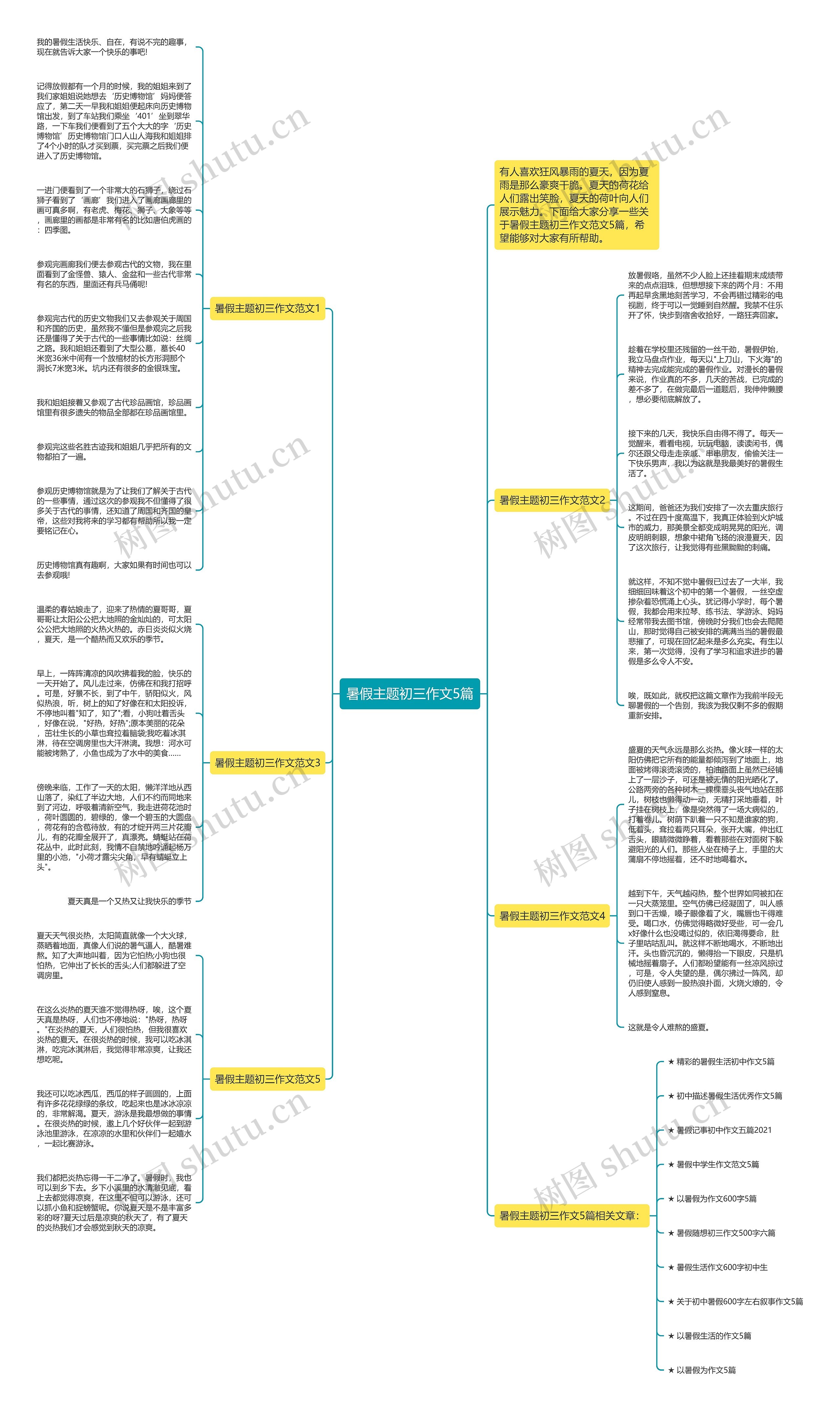 暑假主题初三作文5篇思维导图
