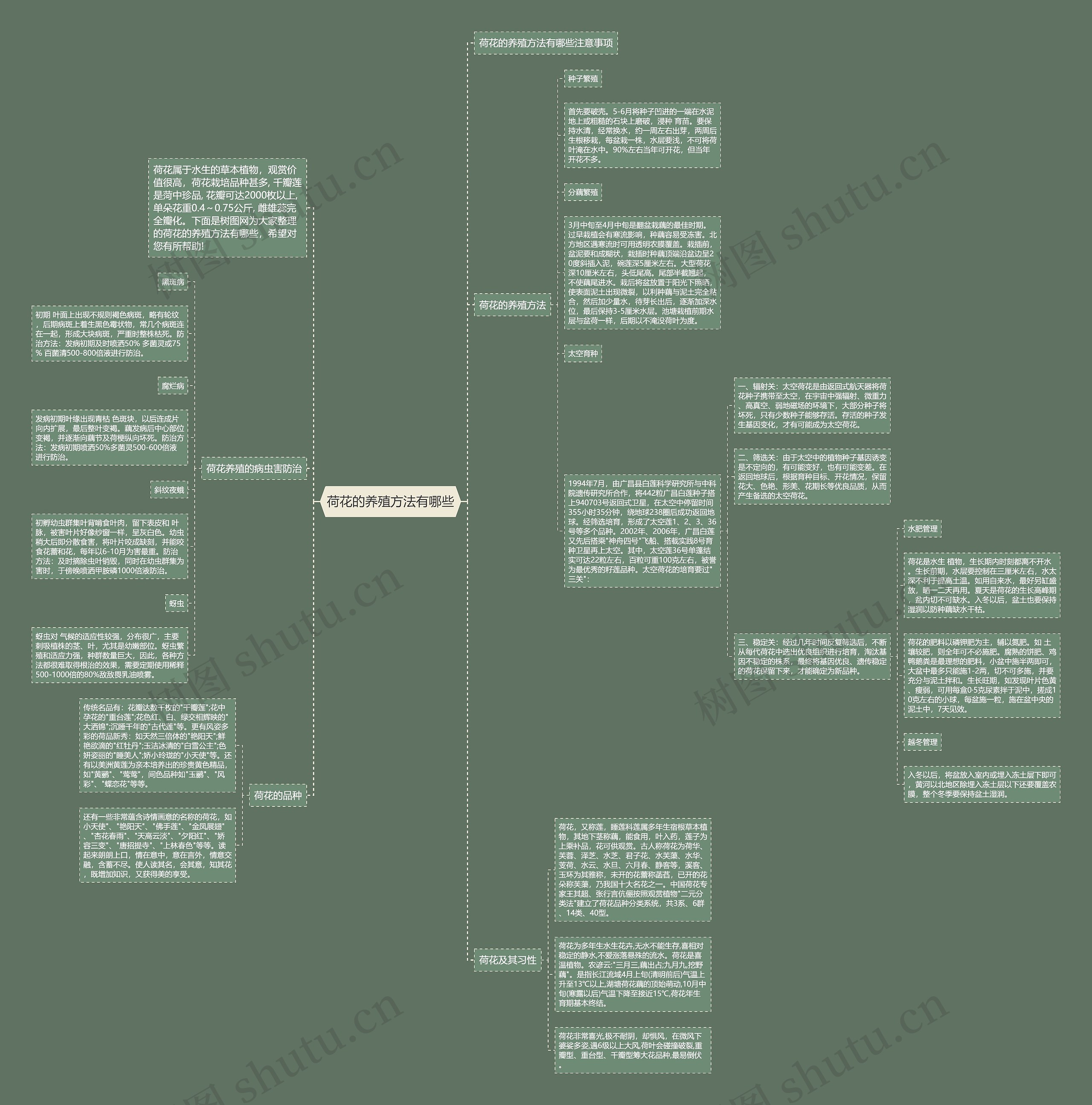 荷花的养殖方法有哪些思维导图
