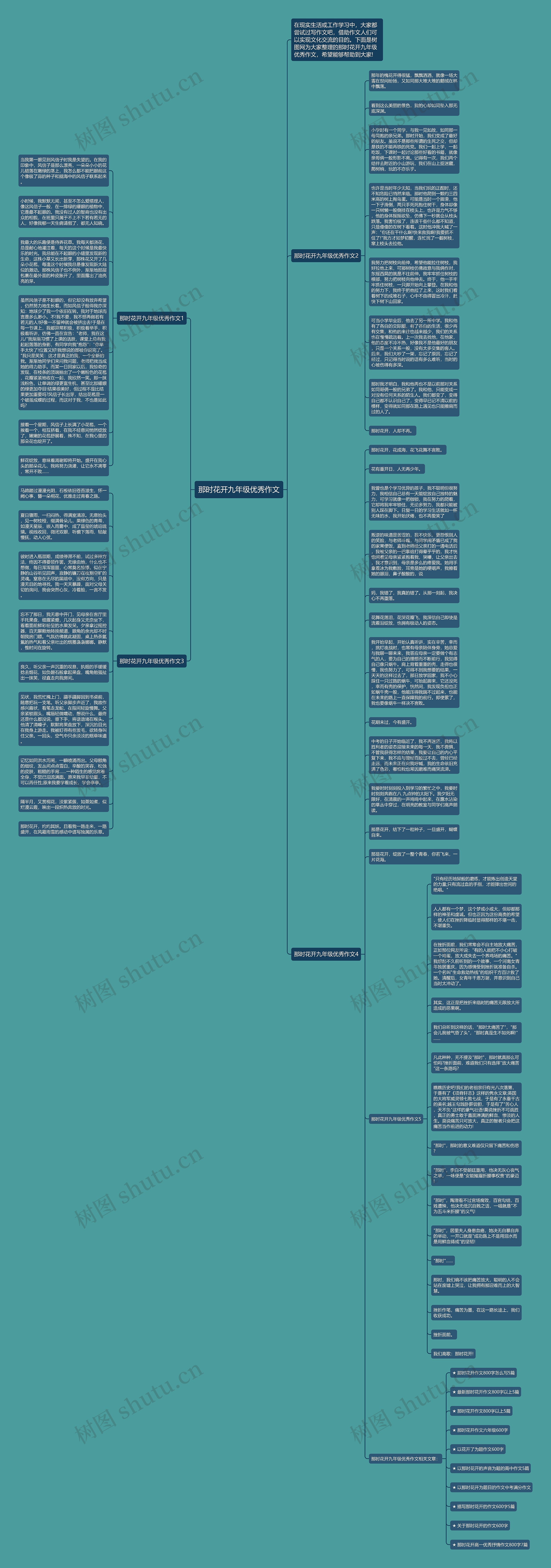 那时花开九年级优秀作文思维导图