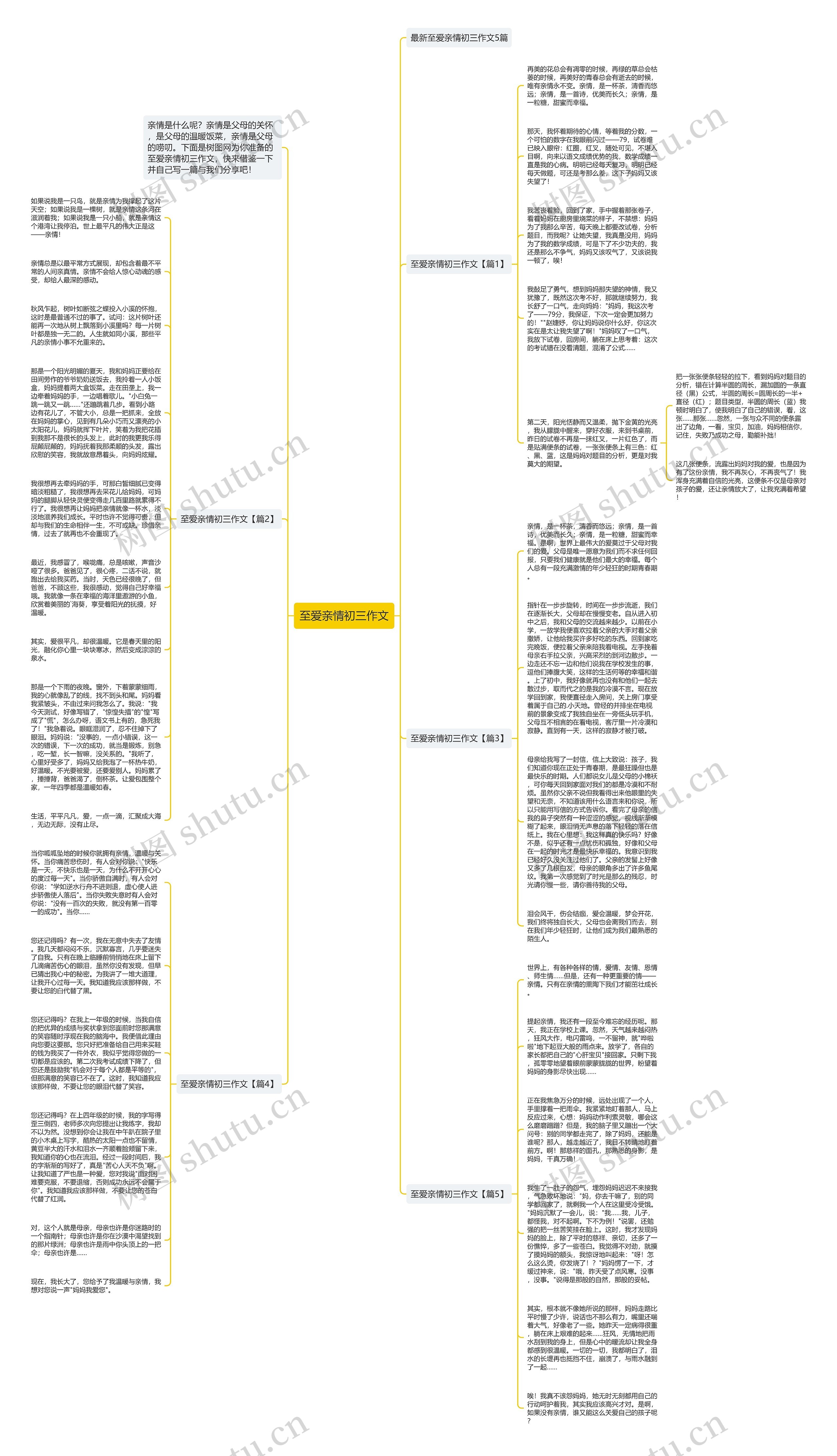 至爱亲情初三作文思维导图