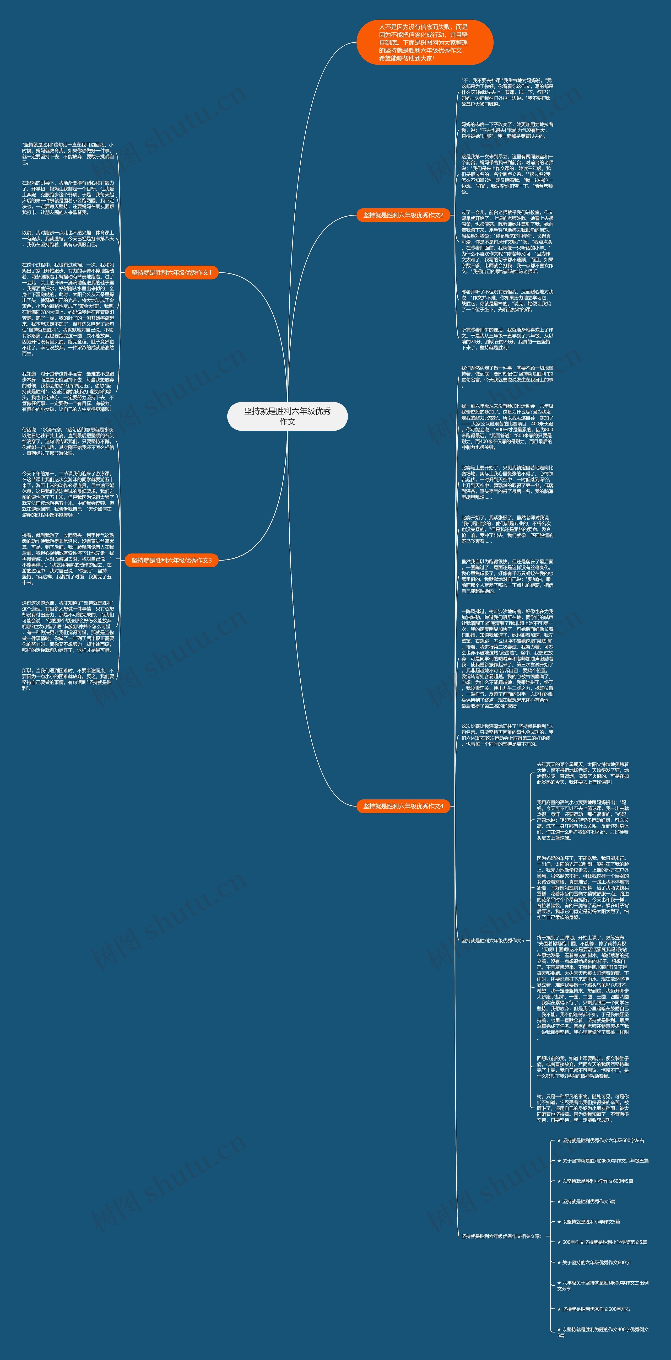 坚持就是胜利六年级优秀作文思维导图