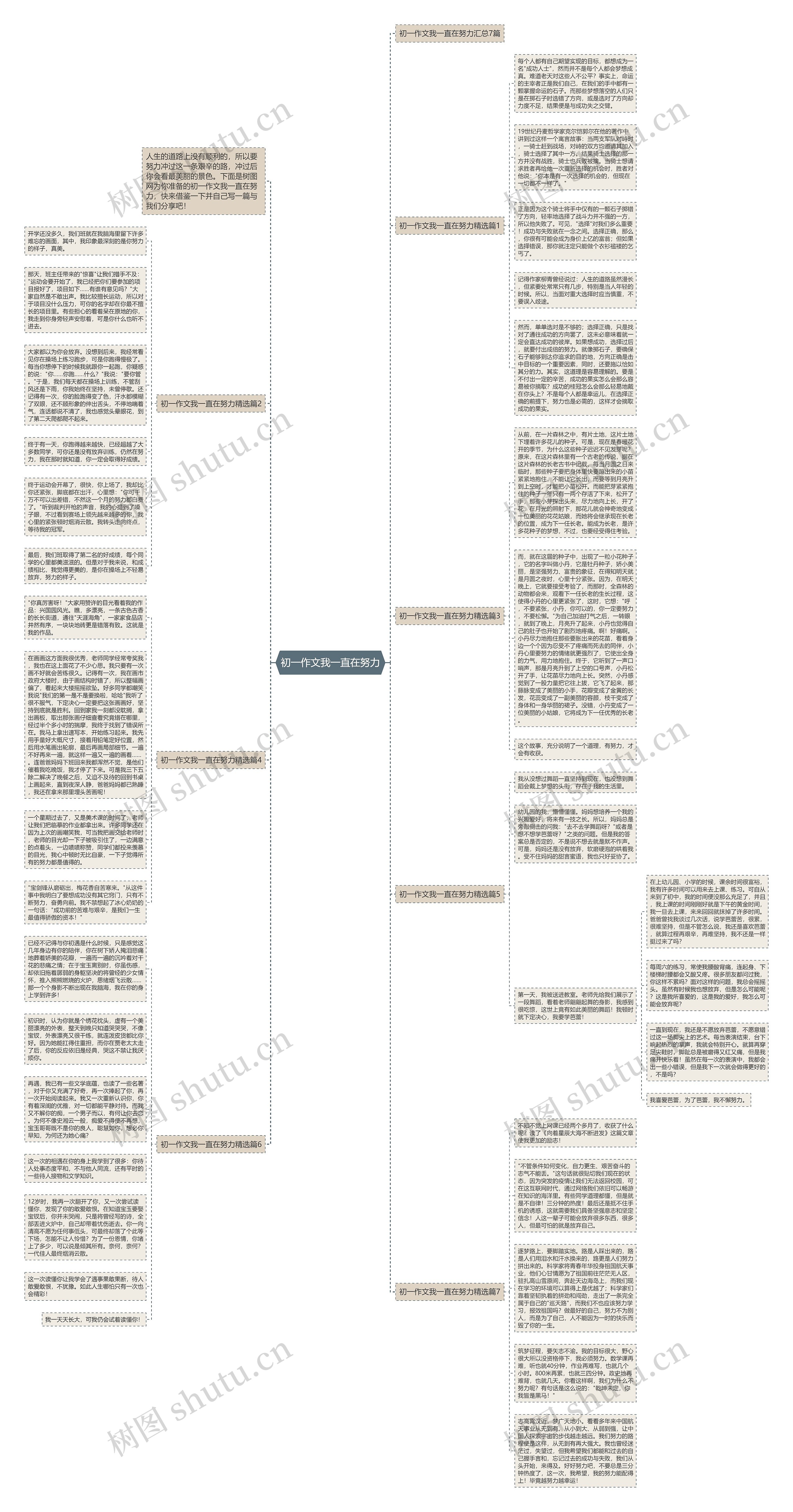 初一作文我一直在努力思维导图