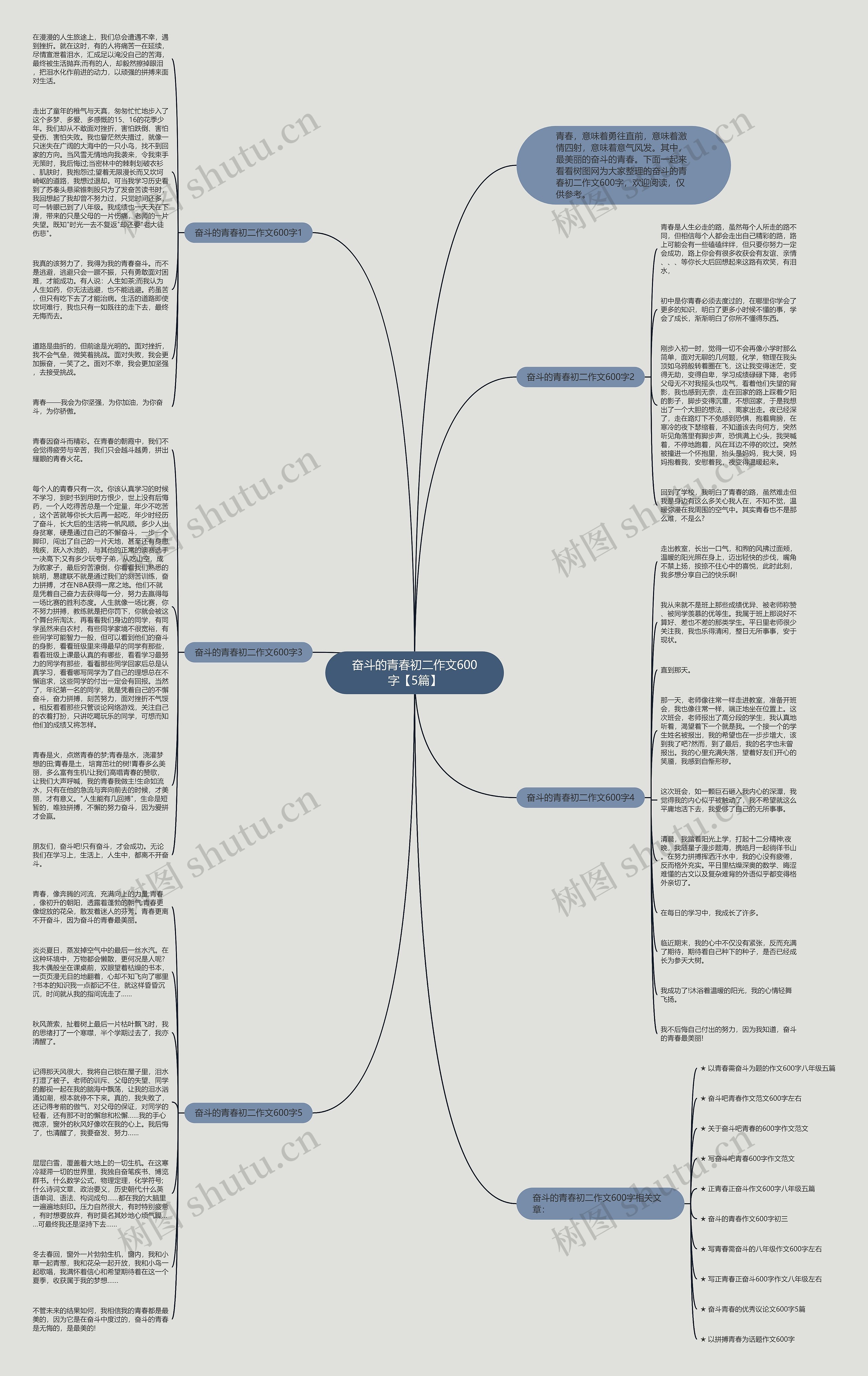 奋斗的青春初二作文600字【5篇】思维导图