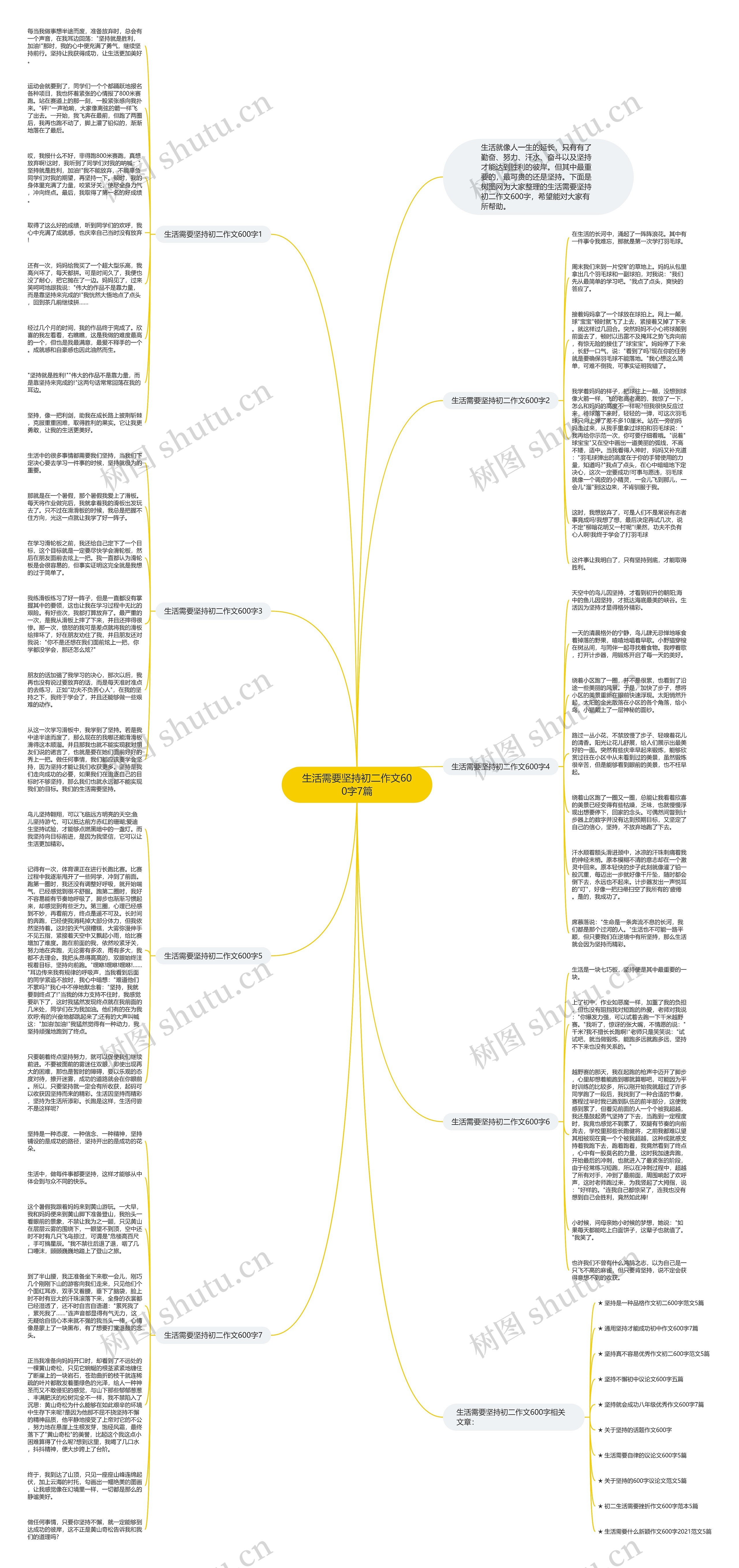 生活需要坚持初二作文600字7篇思维导图