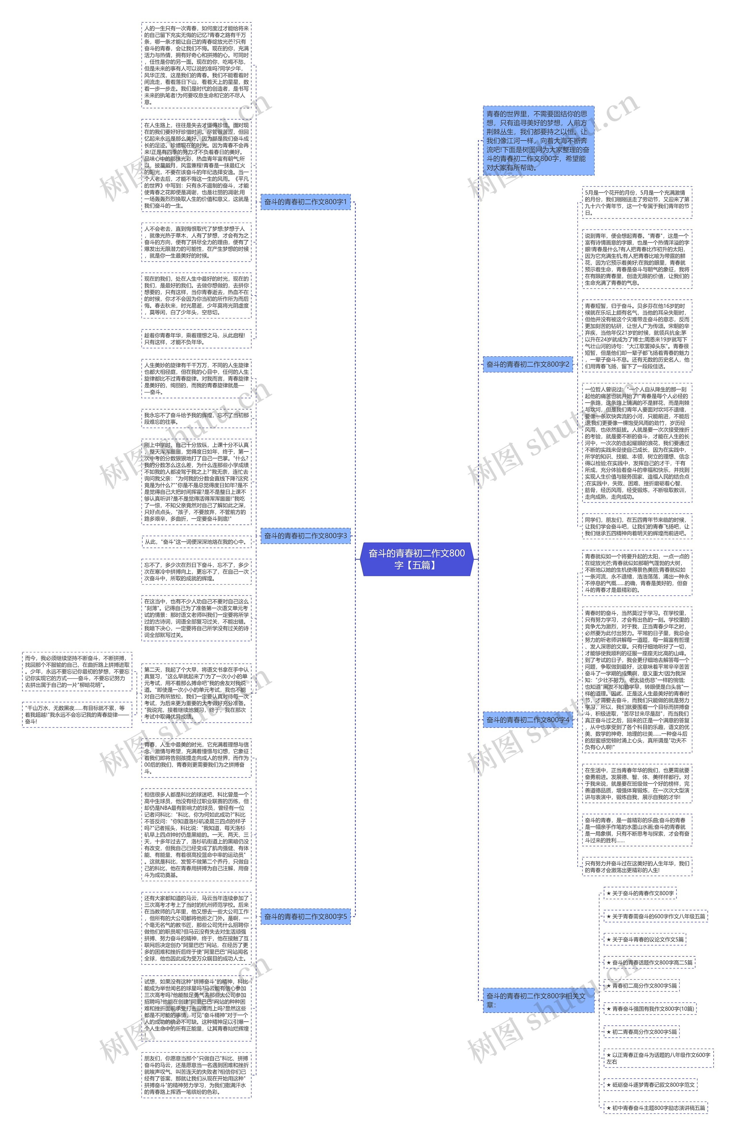 奋斗的青春初二作文800字【五篇】思维导图