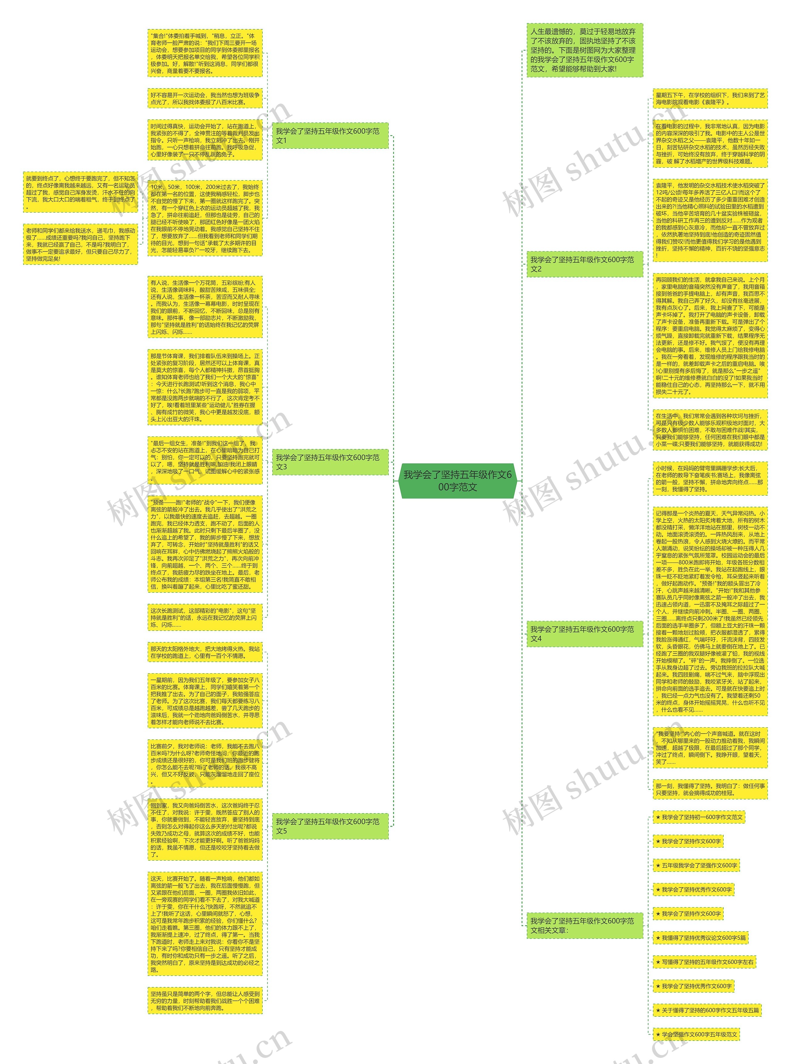 我学会了坚持五年级作文600字范文思维导图