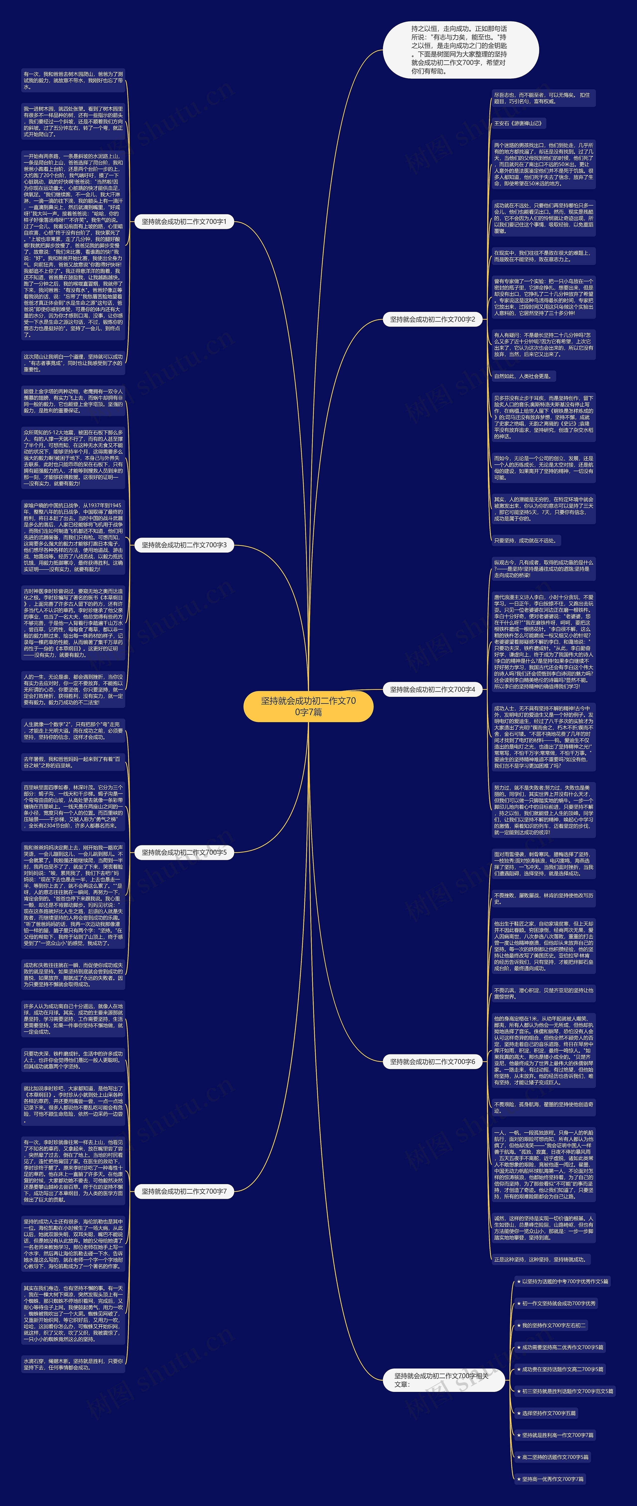 坚持就会成功初二作文700字7篇思维导图
