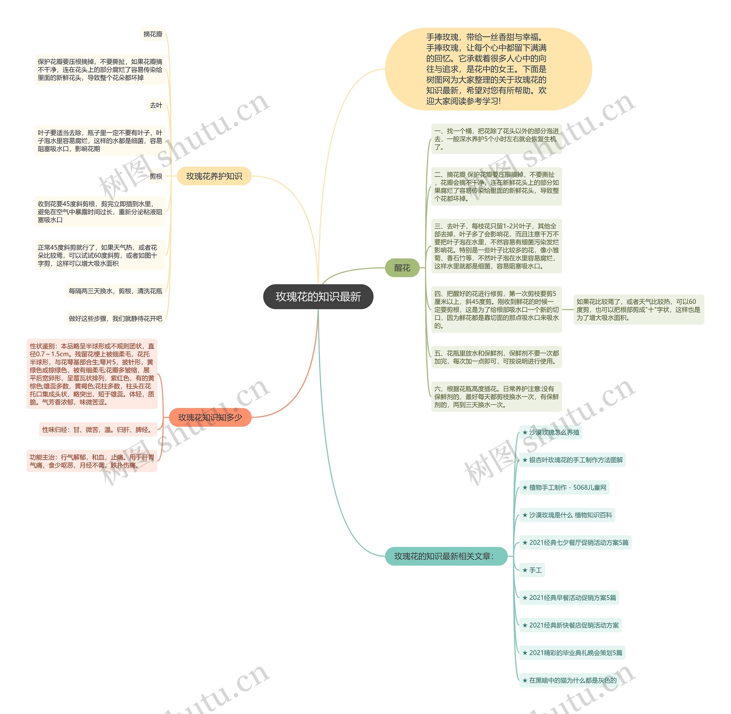 玫瑰花的知识最新思维导图