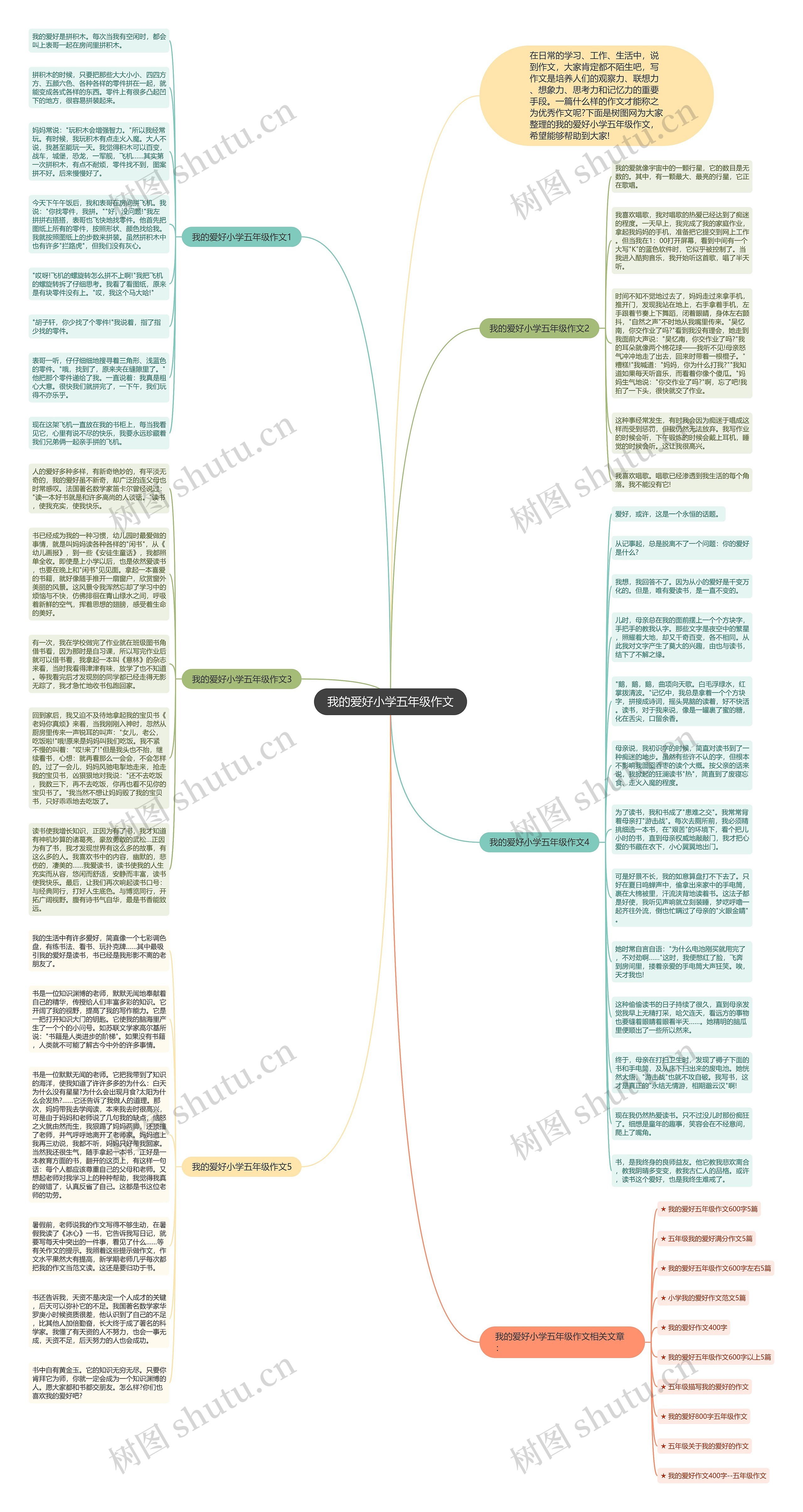 我的爱好小学五年级作文思维导图