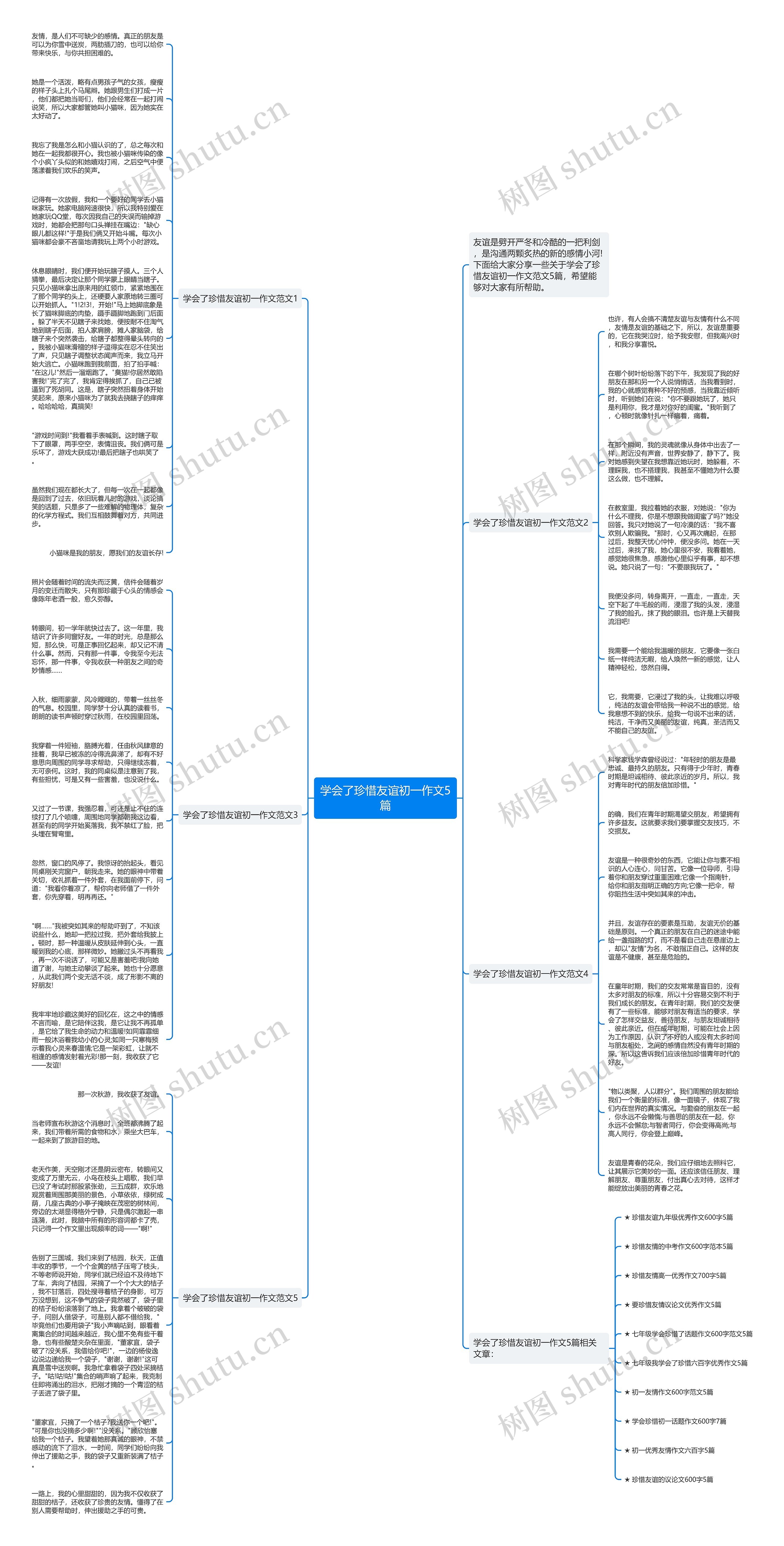 学会了珍惜友谊初一作文5篇思维导图