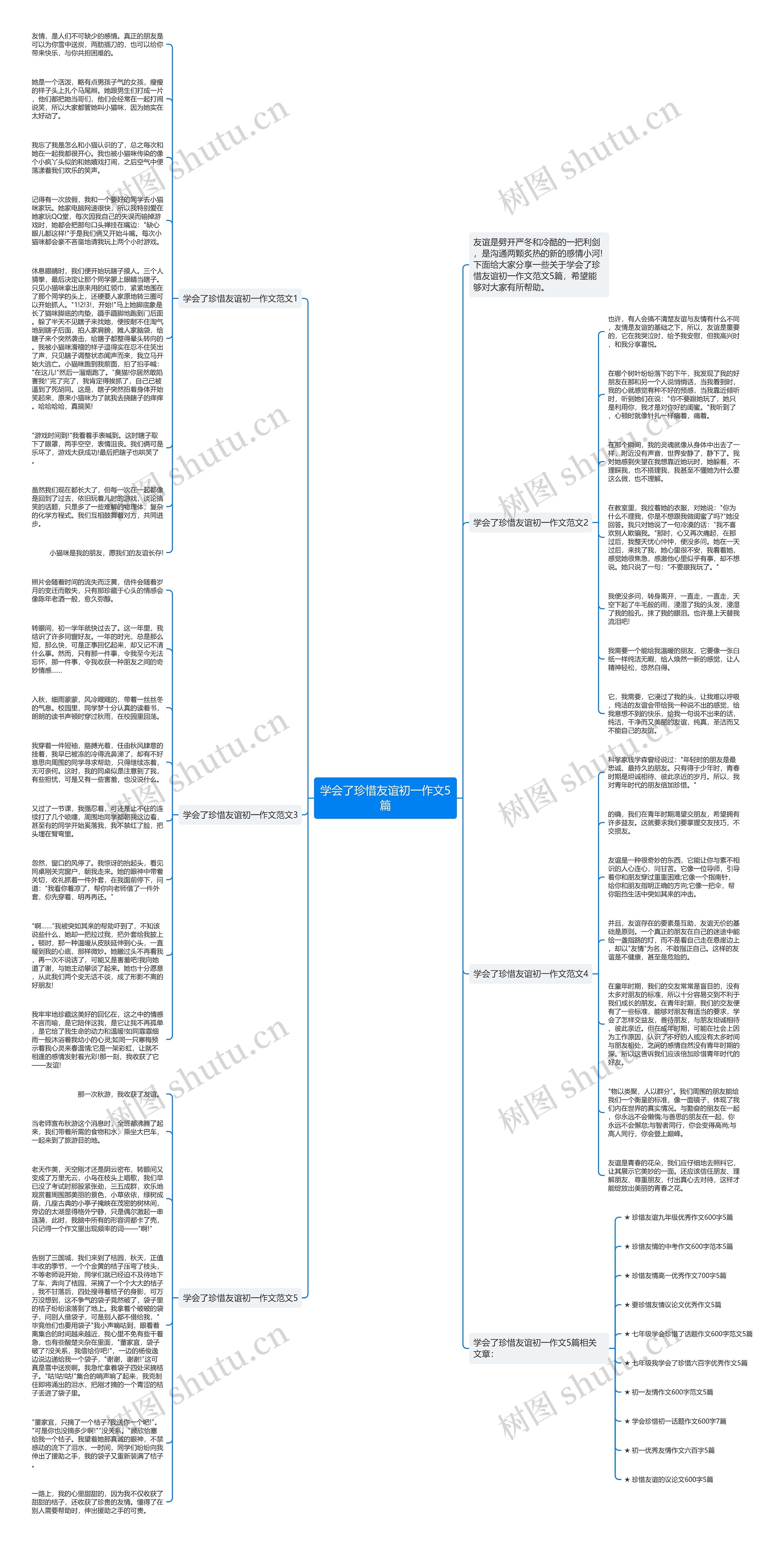 学会了珍惜友谊初一作文5篇思维导图高清图 学会了珍惜友谊初一作文5篇思维导图