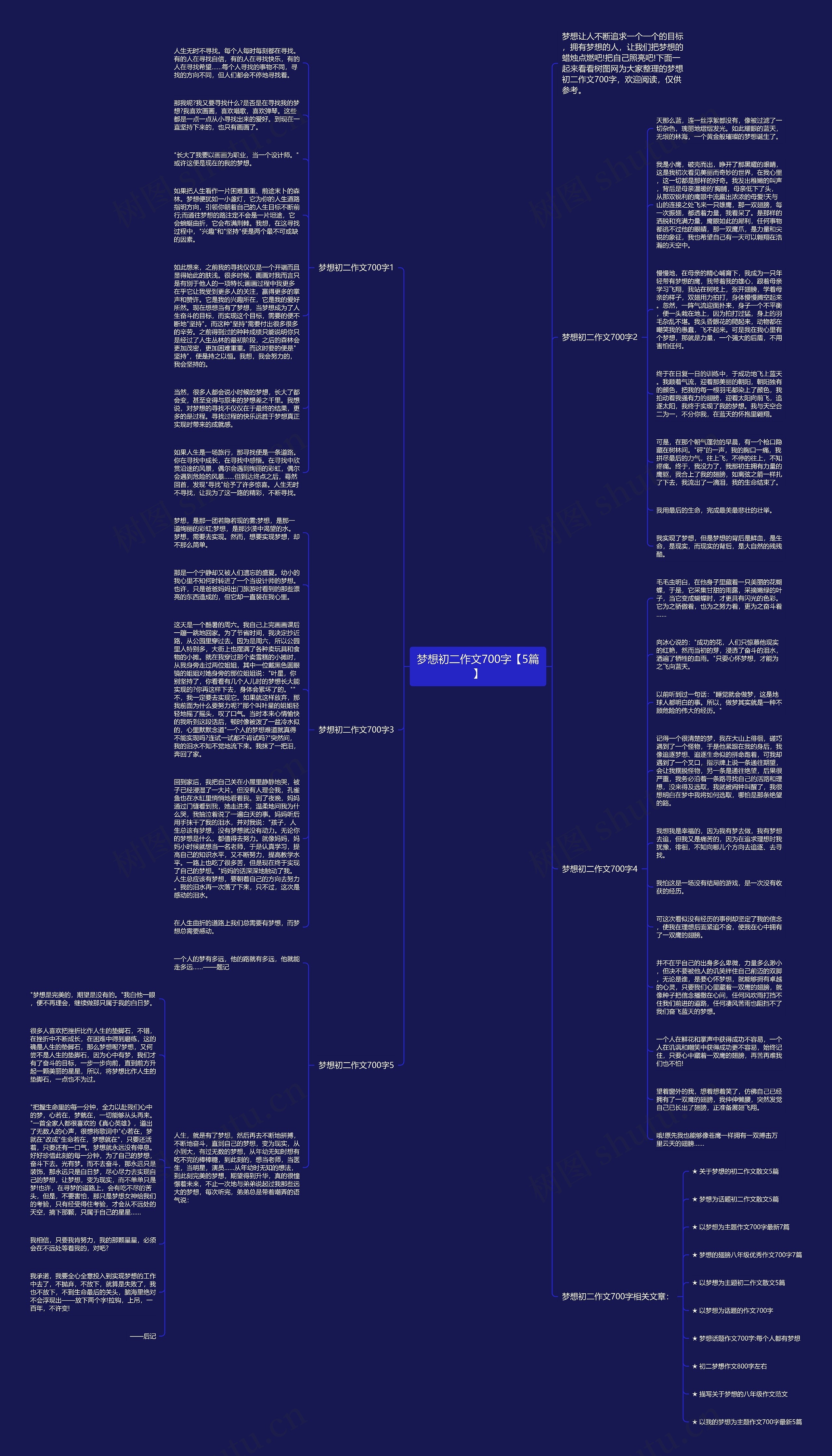 梦想初二作文700字【5篇】思维导图