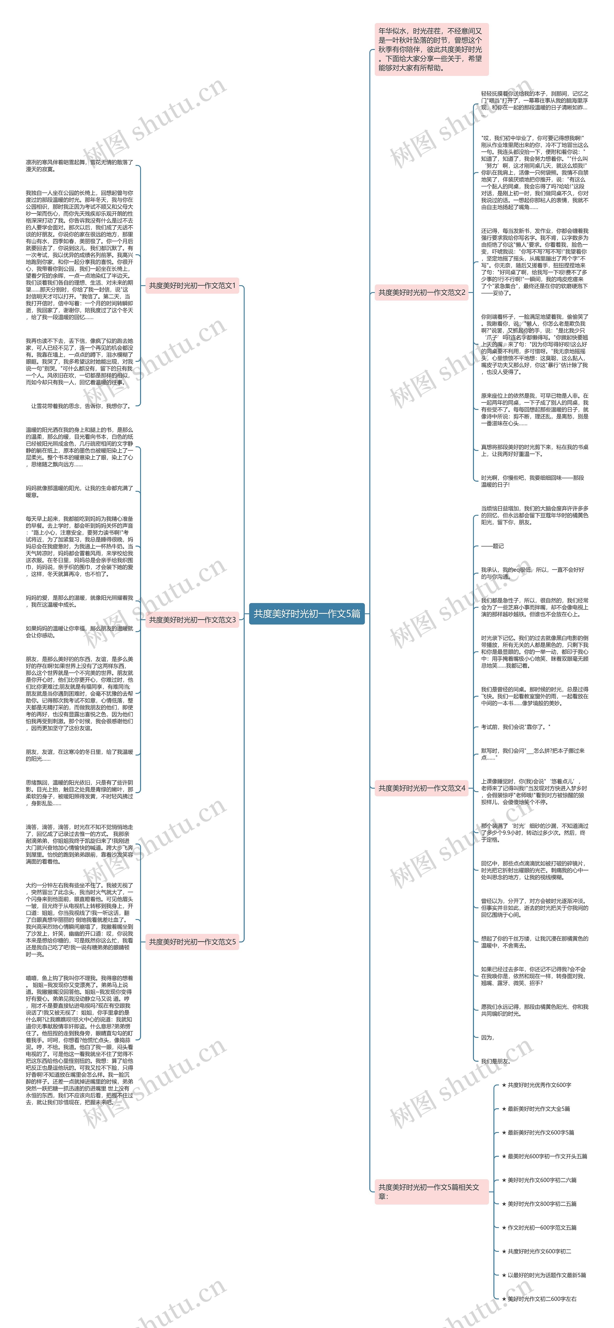 共度美好时光初一作文5篇思维导图