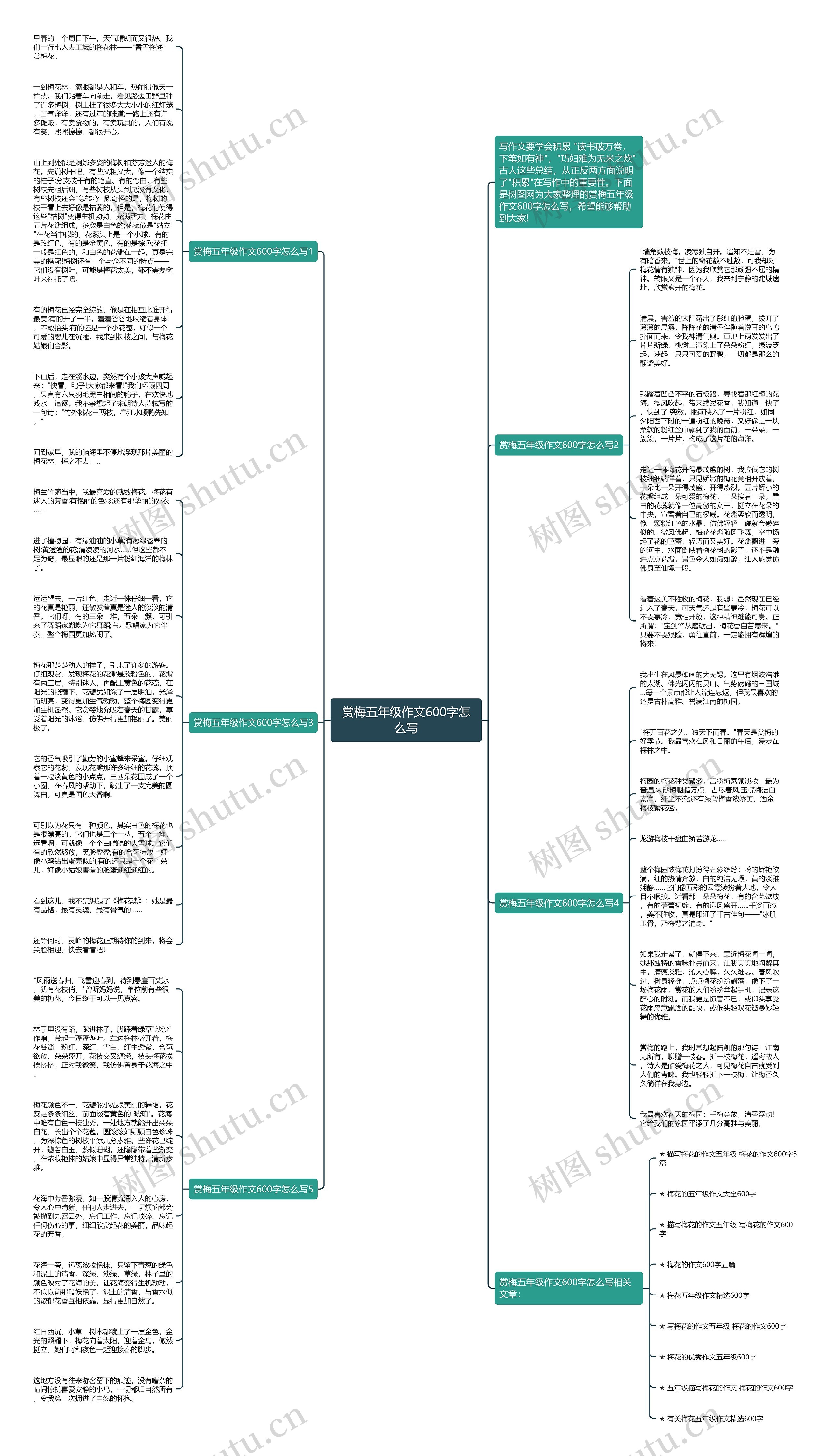 赏梅五年级作文600字怎么写思维导图