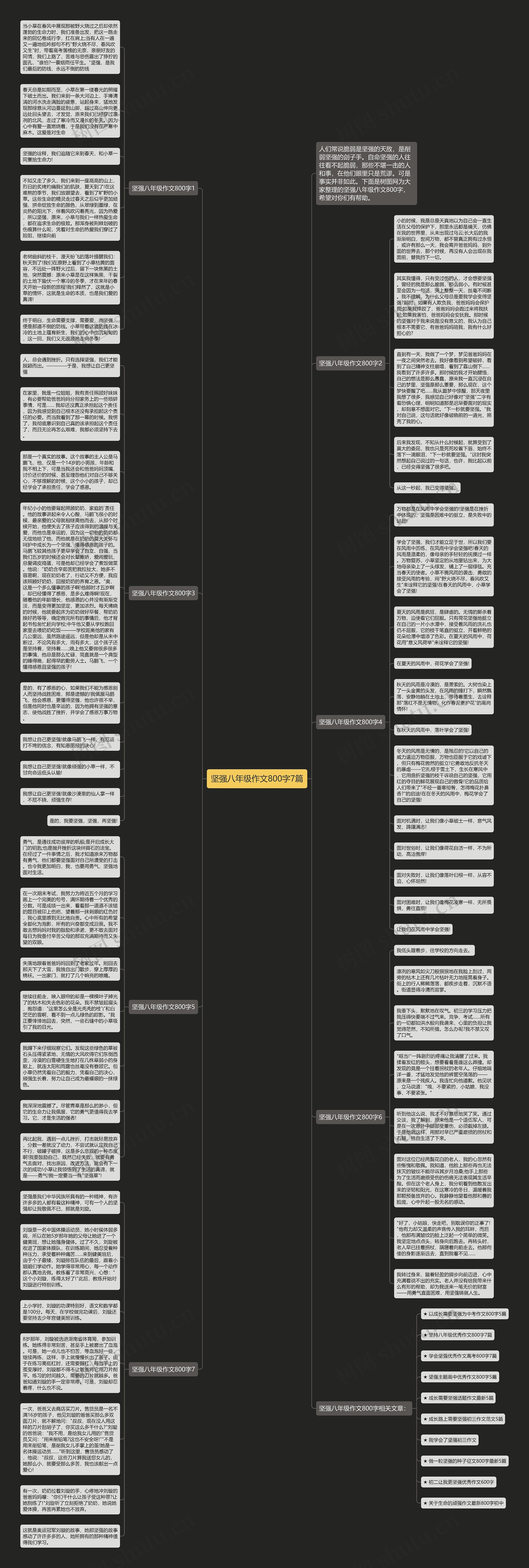 坚强八年级作文800字7篇思维导图