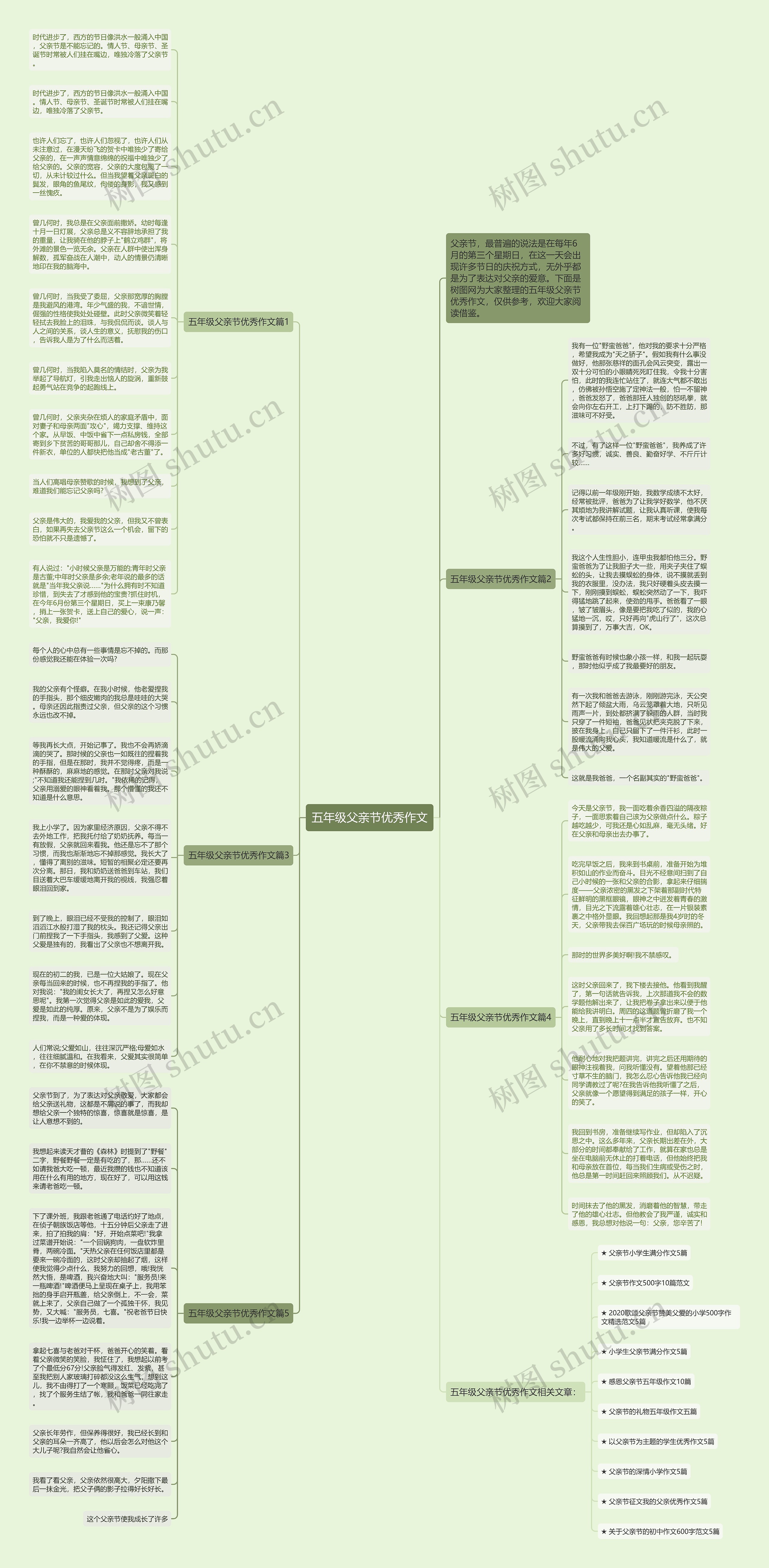 五年级父亲节优秀作文思维导图