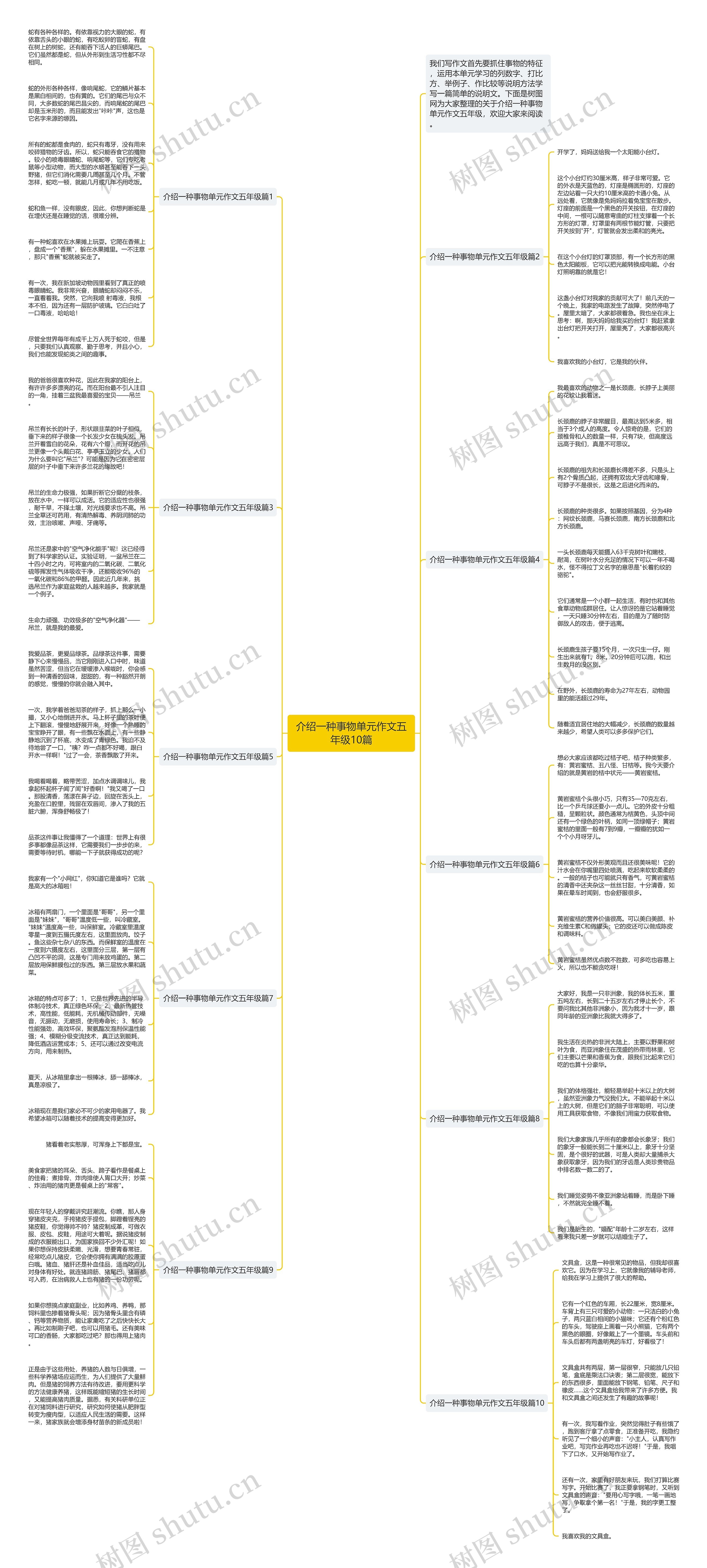 介绍一种事物单元作文五年级10篇