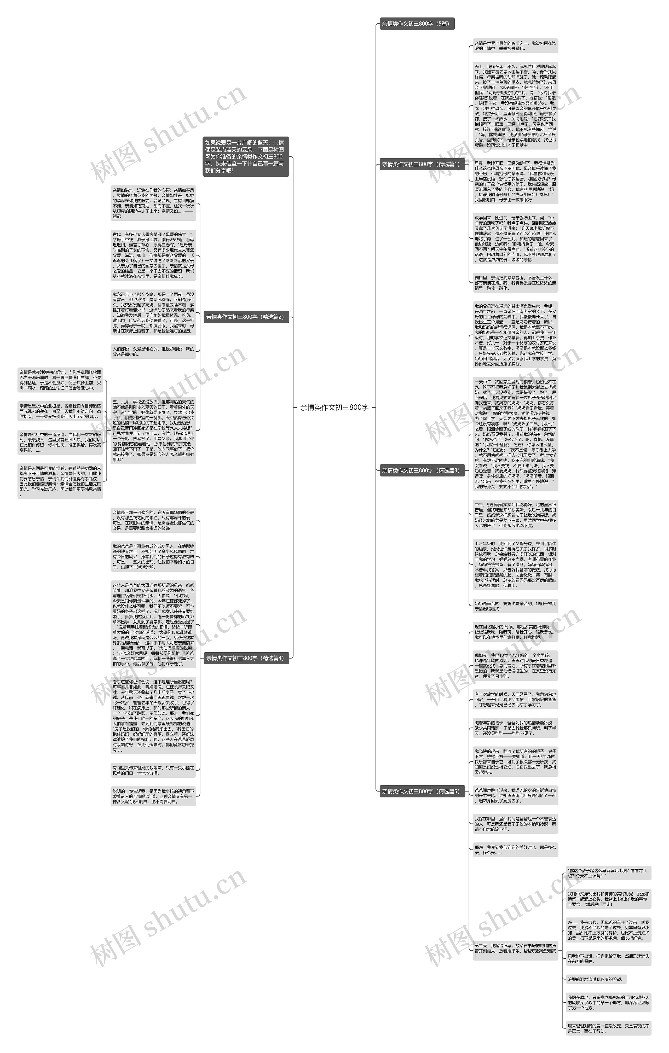 亲情类作文初三800字思维导图