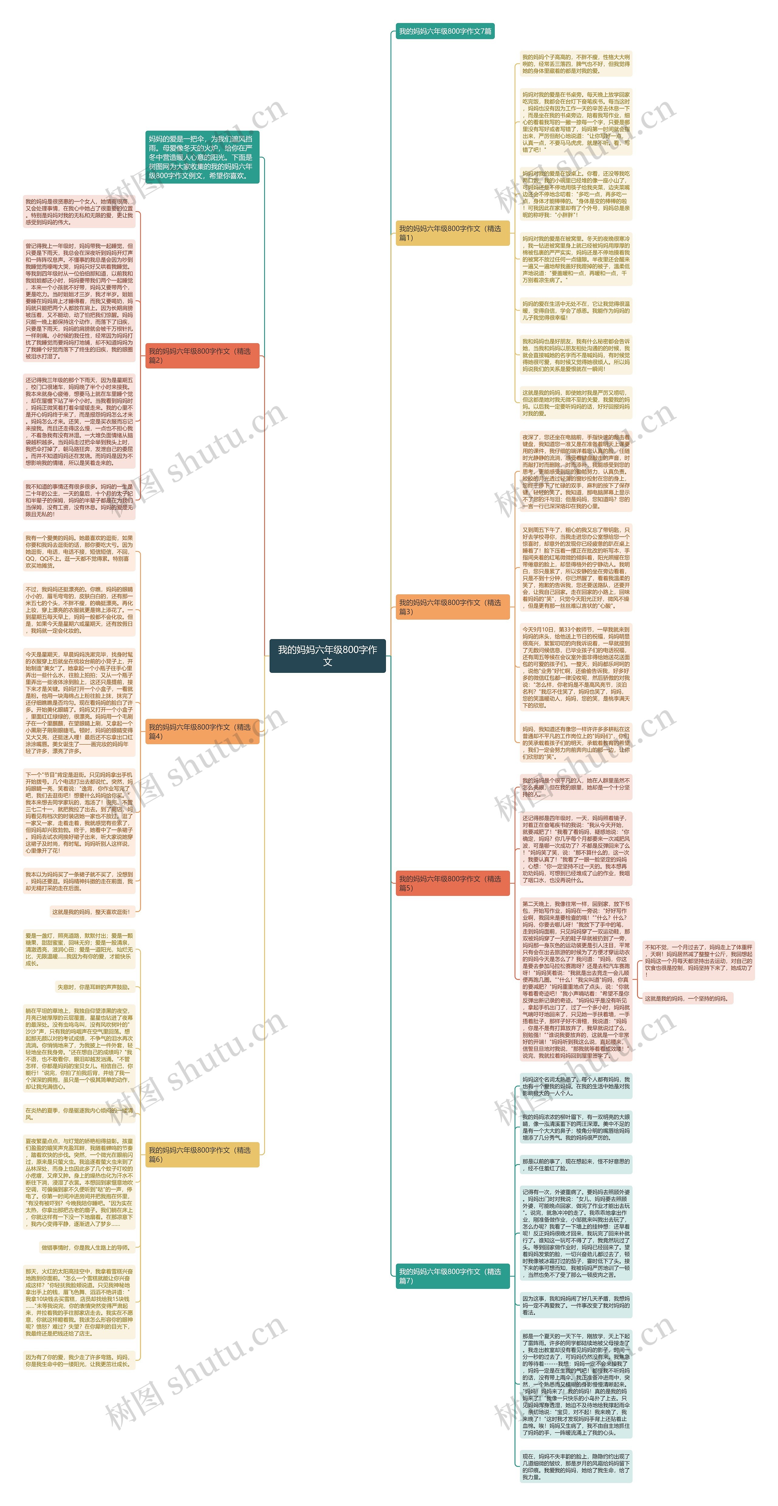 我的妈妈六年级800字作文思维导图