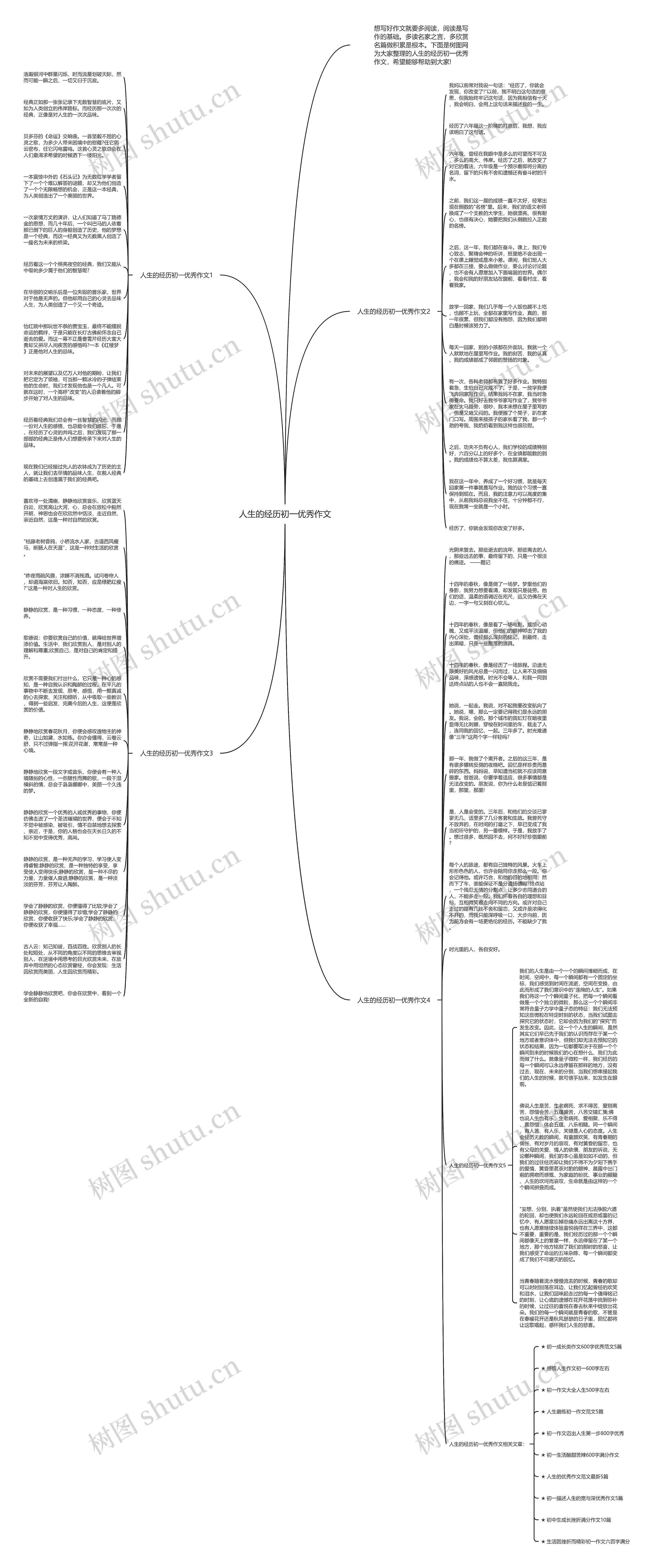 人生的经历初一优秀作文思维导图