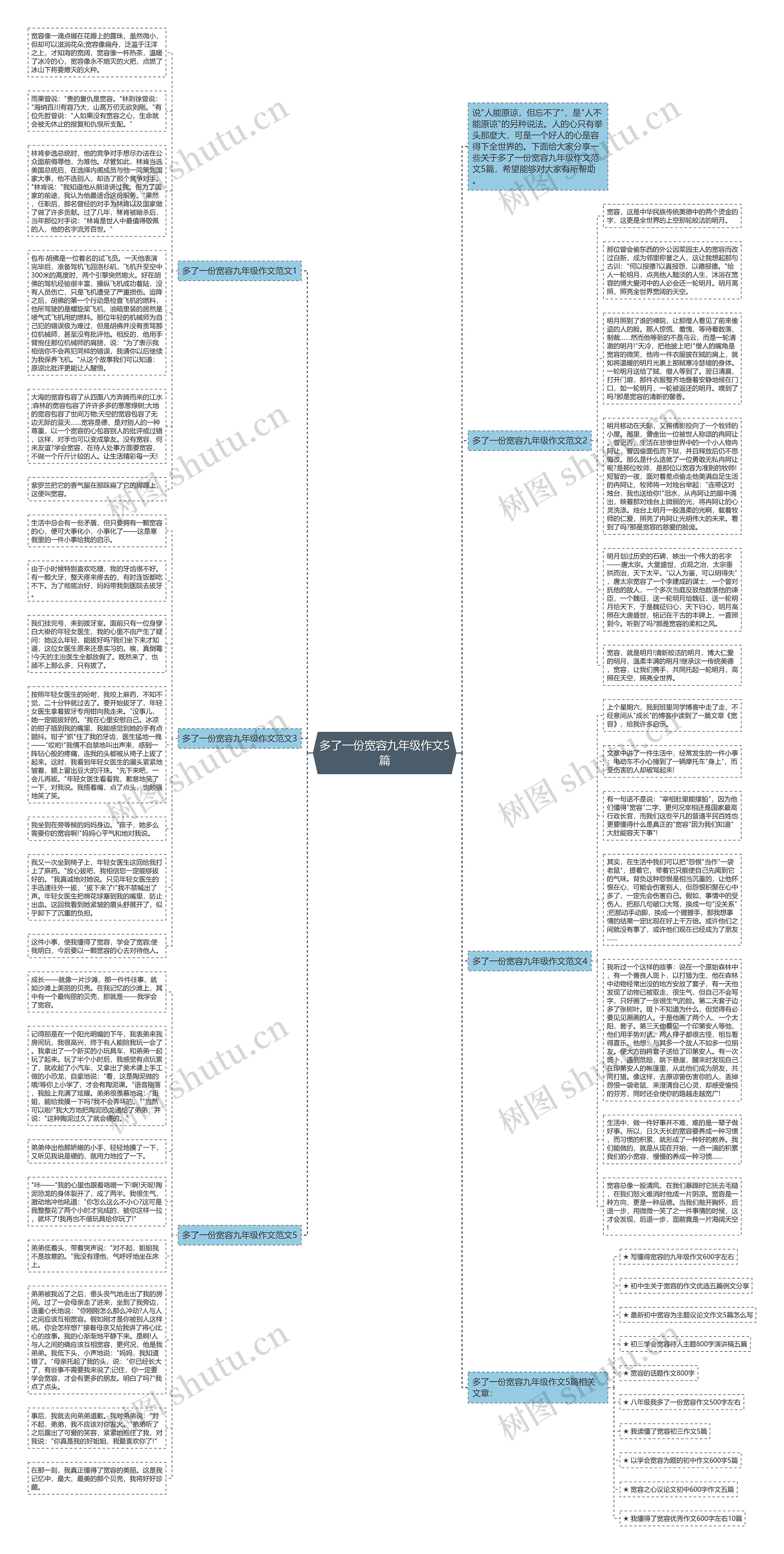 多了一份宽容九年级作文5篇思维导图