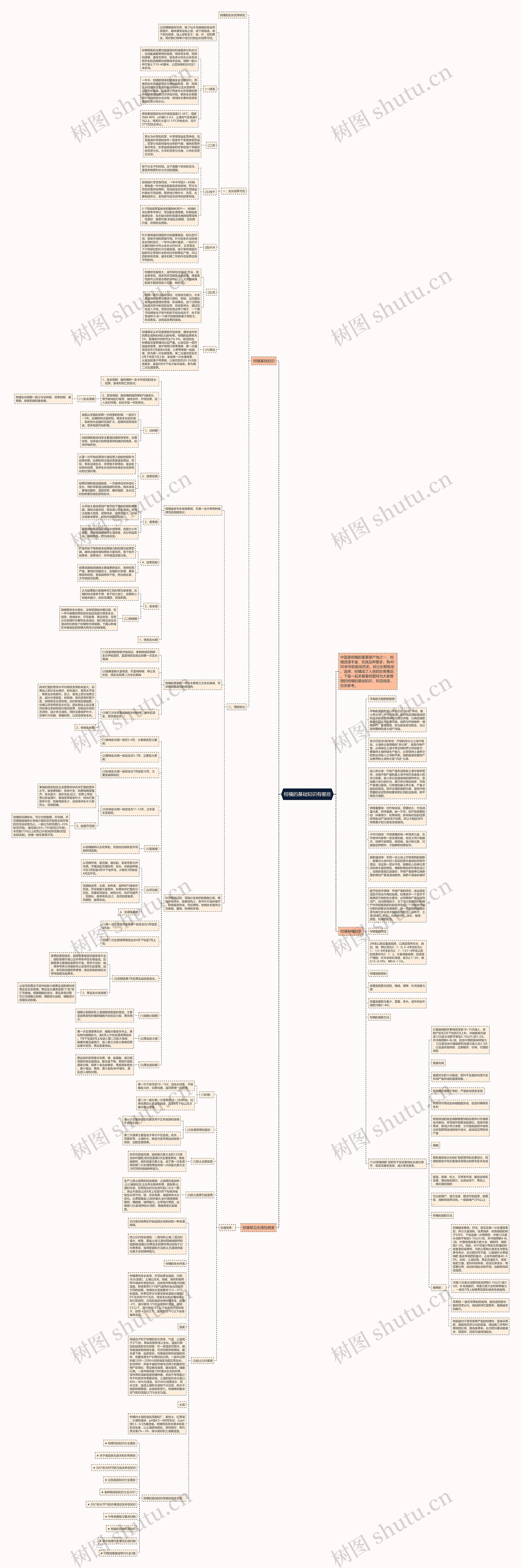 柑橘的基础知识有哪些思维导图