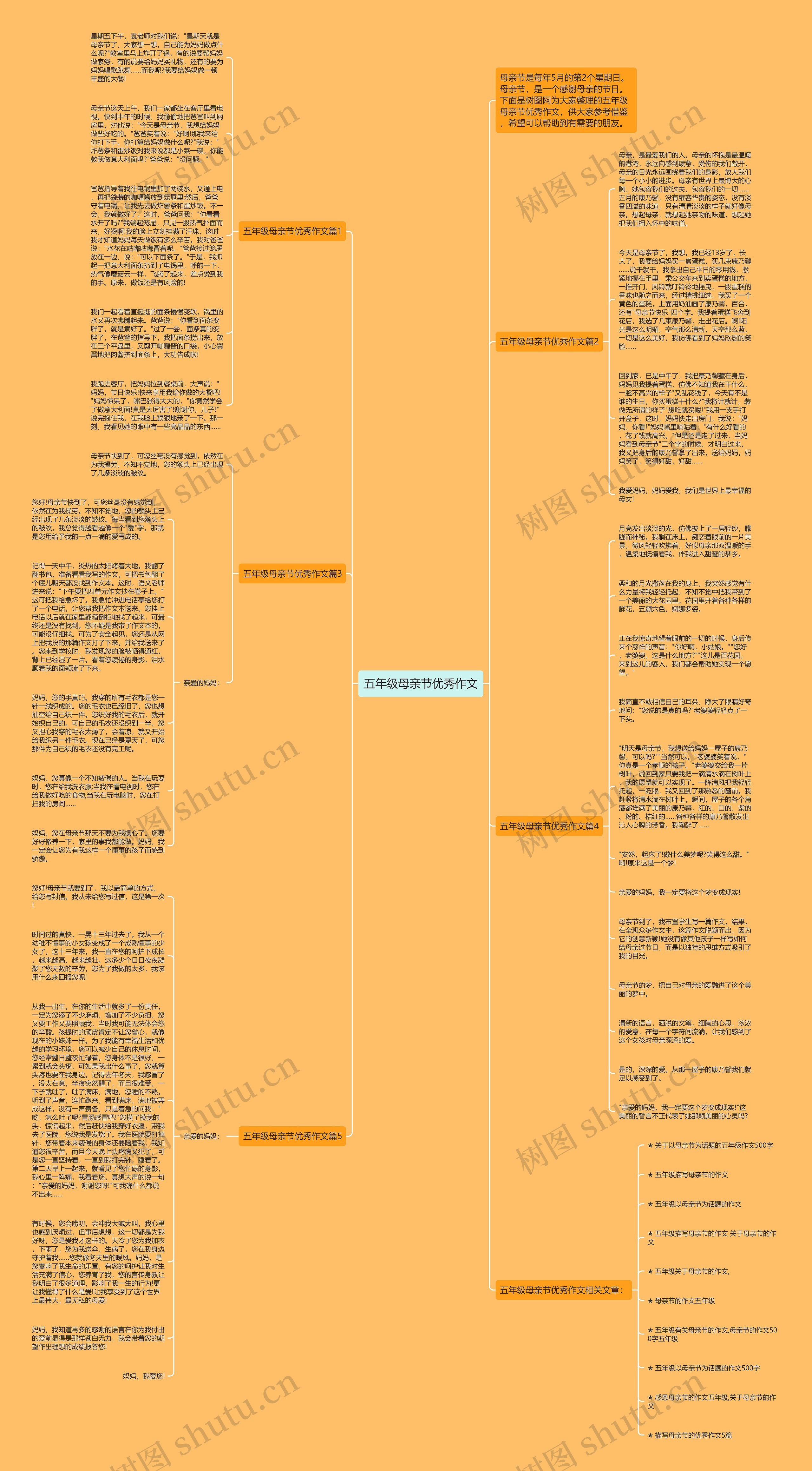 五年级母亲节优秀作文思维导图